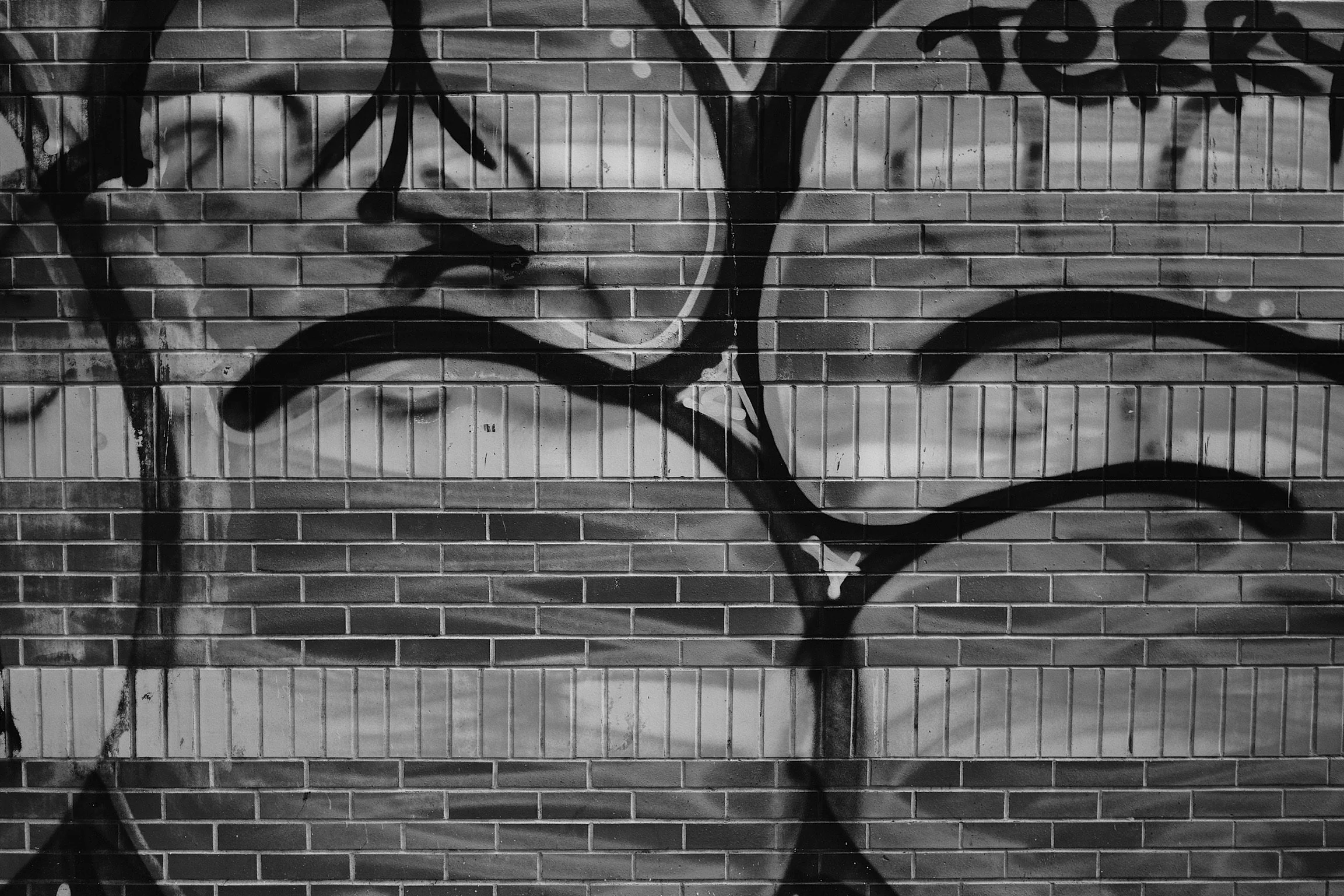 Street Photography - 9 of 20.jpeg