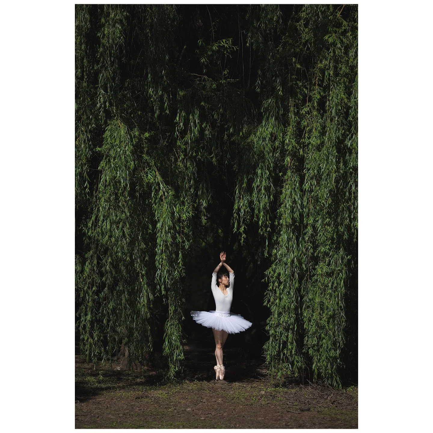We had a fun time shooting in highland park.  Thank you so much @rocogigio for another collaboration because we created such beautiful photos 😍 Check my latest video on my YT for the BTS to these images 🙏🏾 link in bio 🐦&zwj;🔥