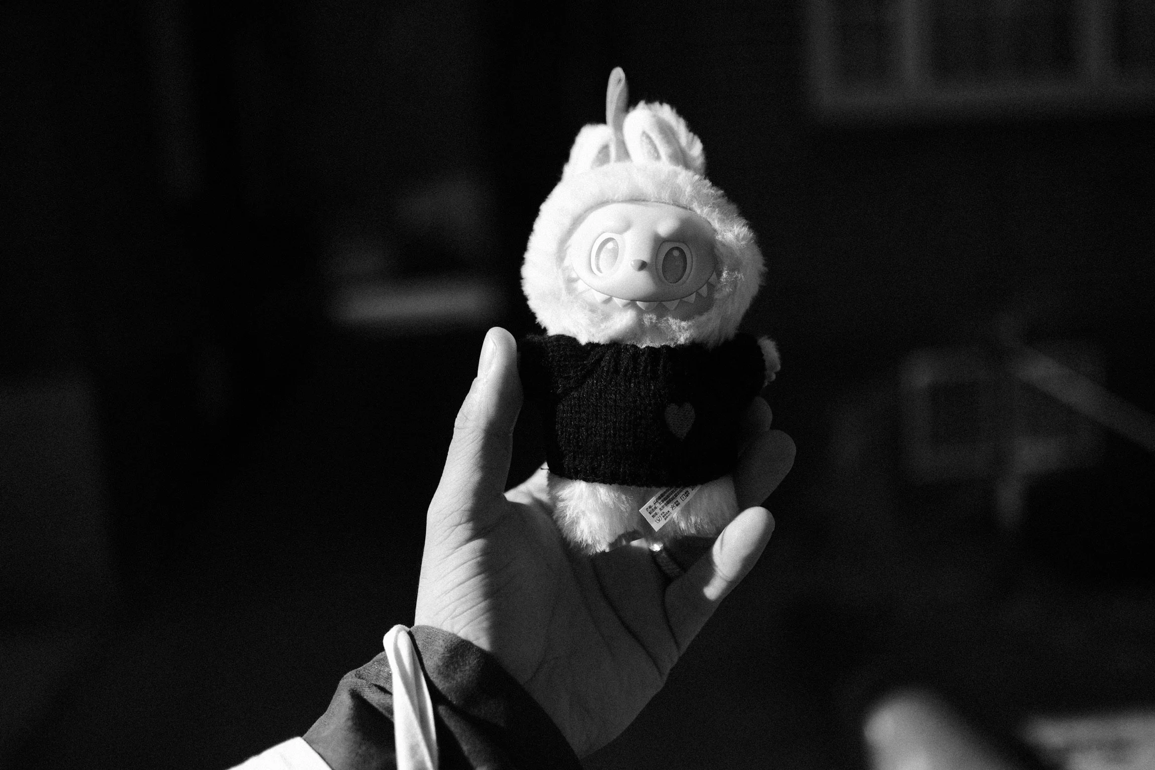 DSCF2486.JPG