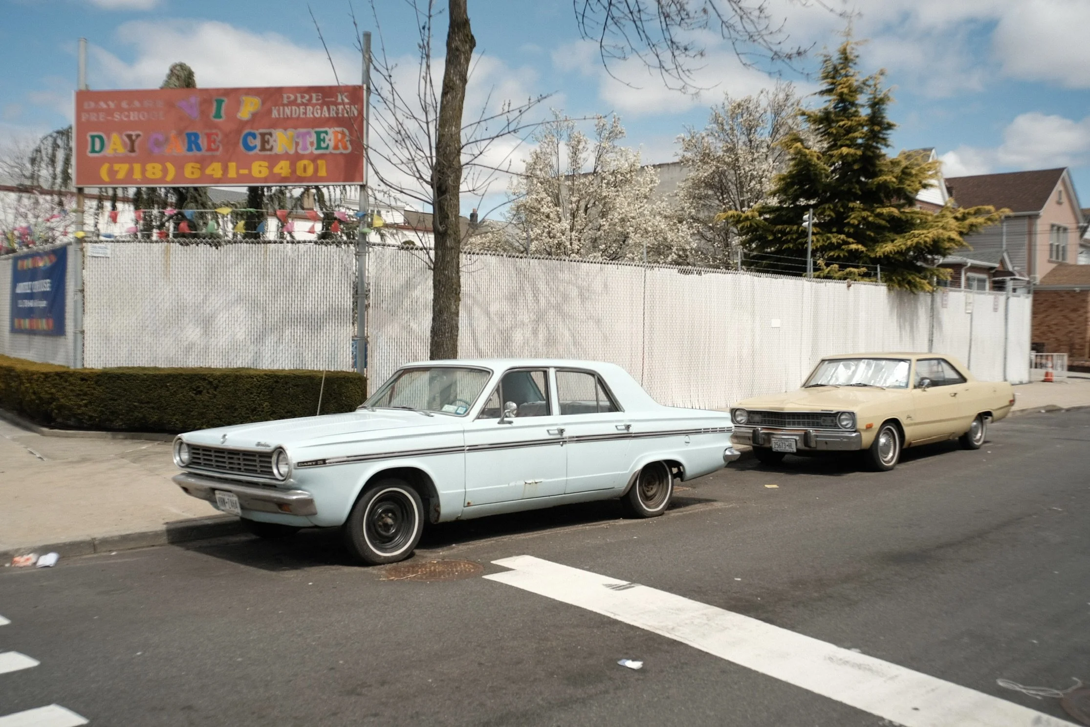 DSCF0511.JPG
