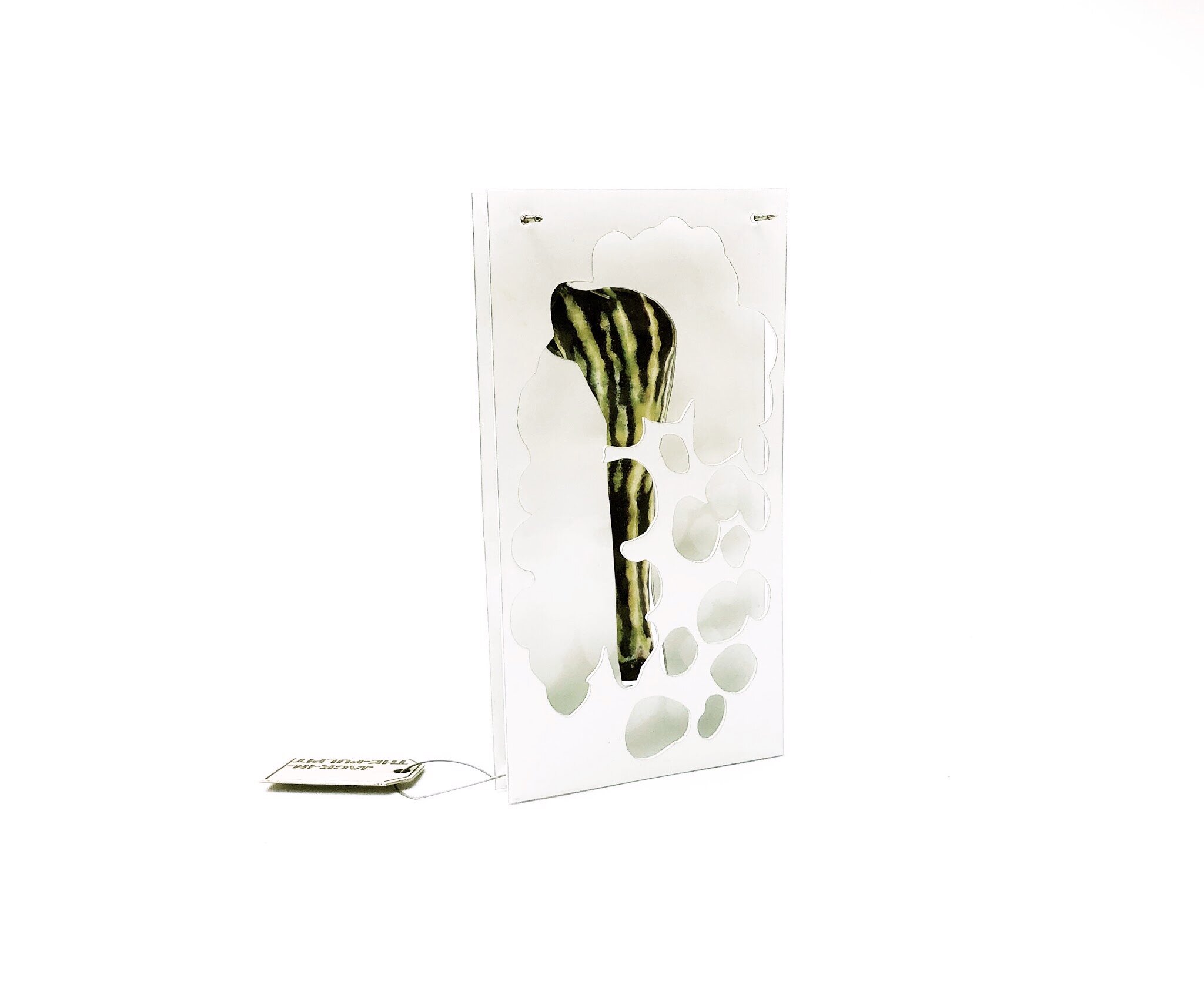Jack-In-The-Pulpit - Back