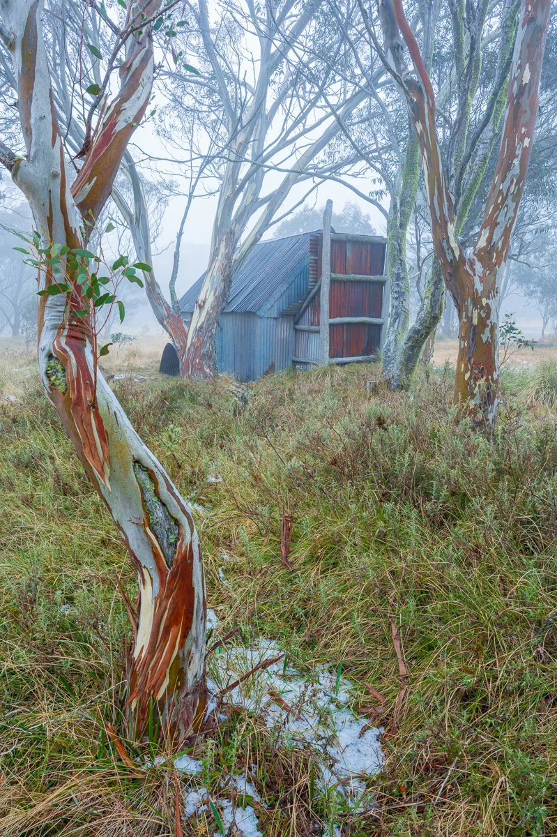 Alpine Hut