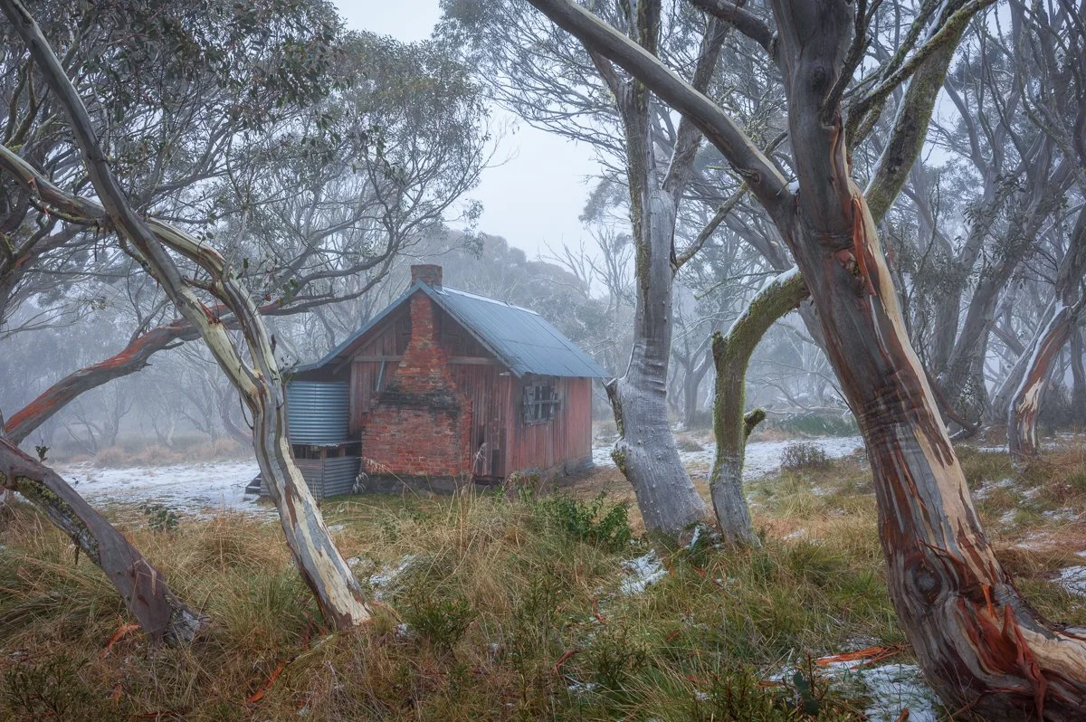 Between the Gums