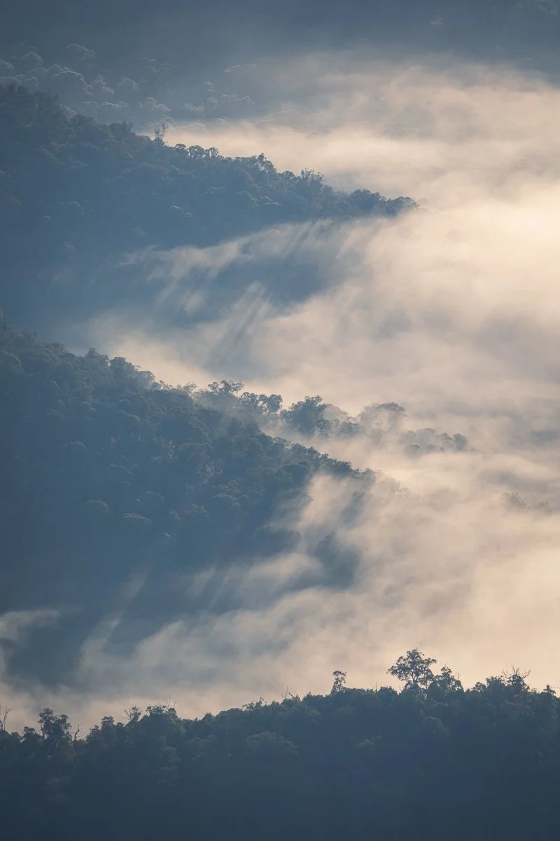 Misty Valley
