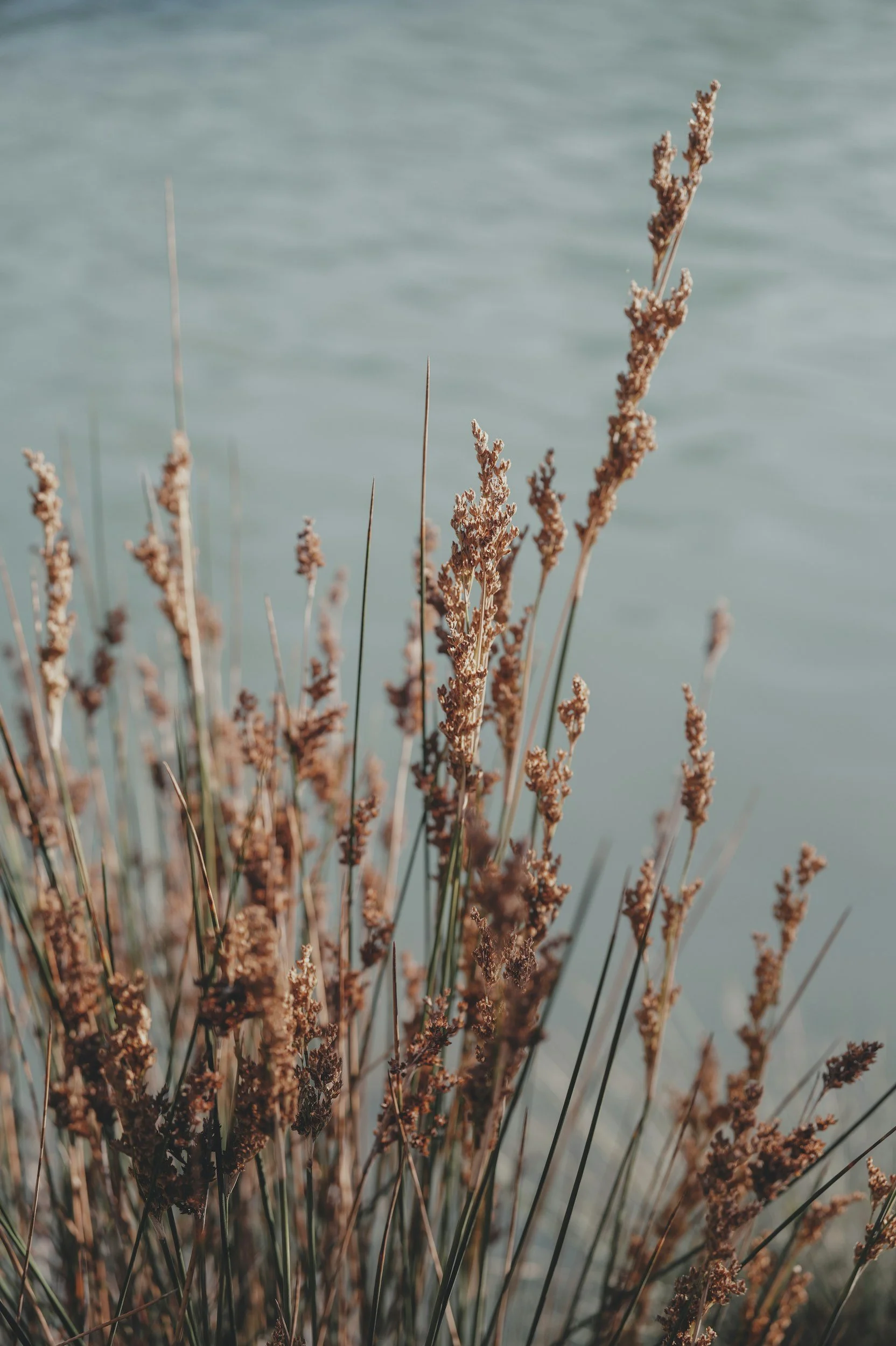 Calm, natural setting