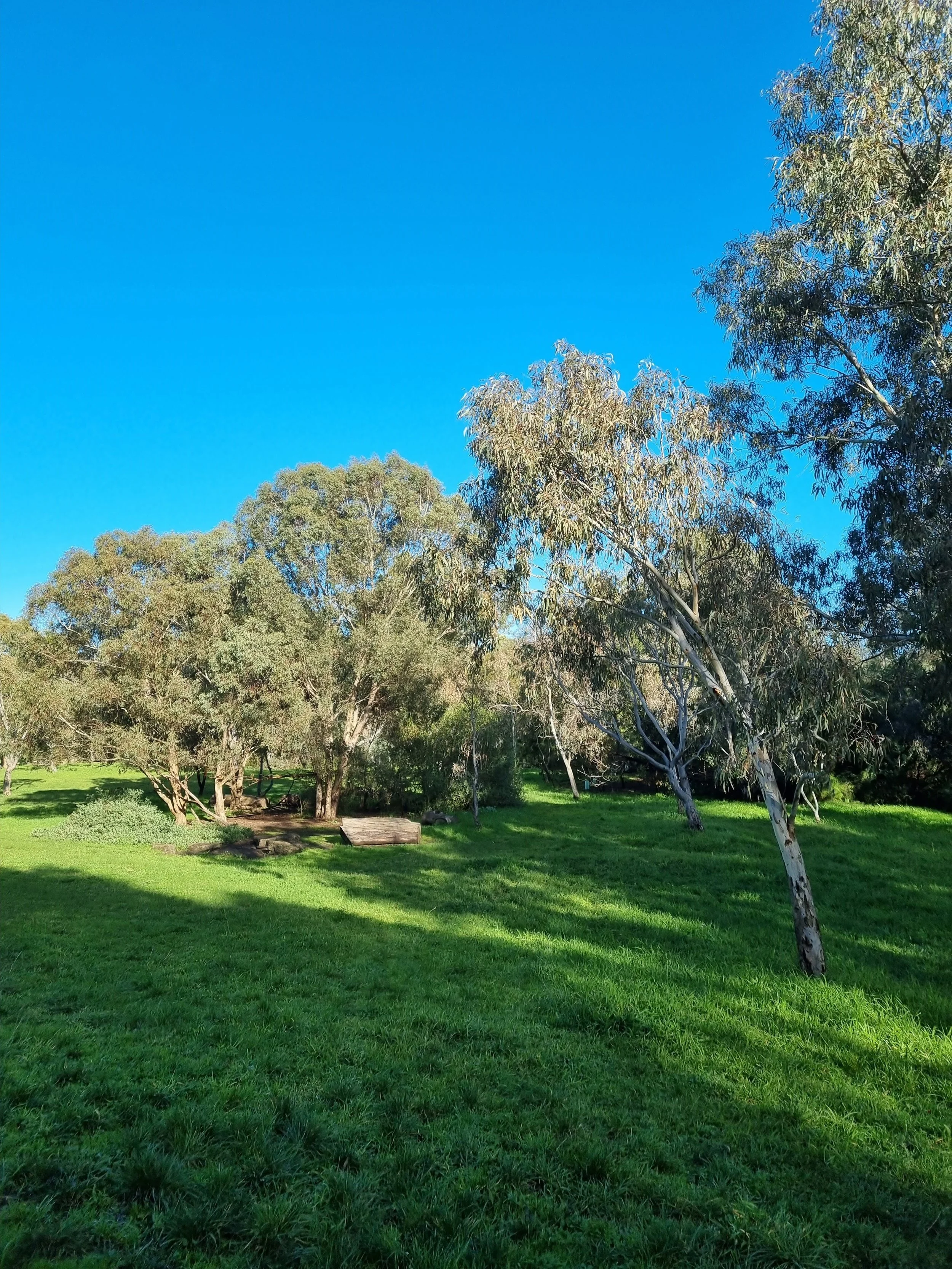 Egan Reserve pic 1.jpg