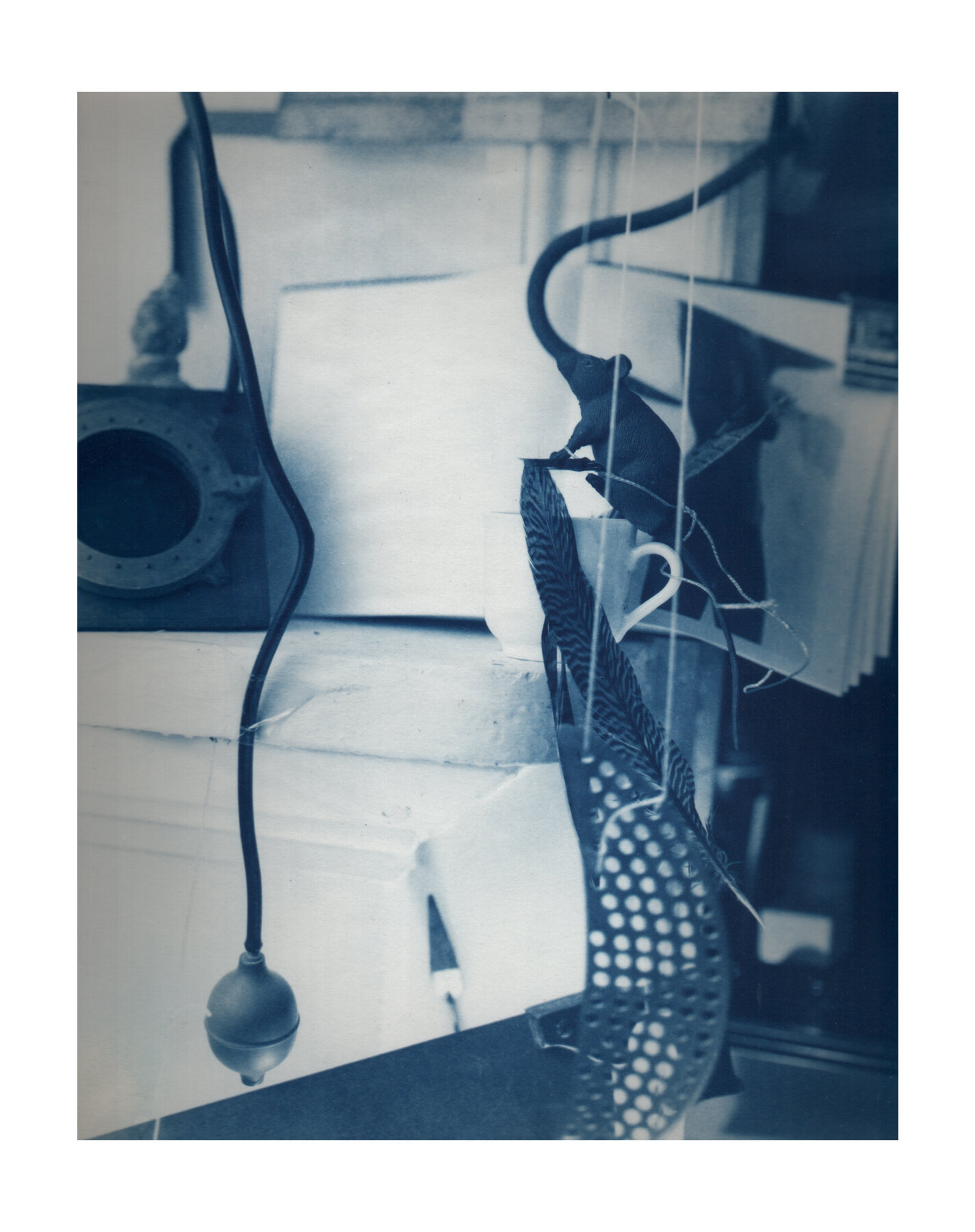 after stieglitz .jpg