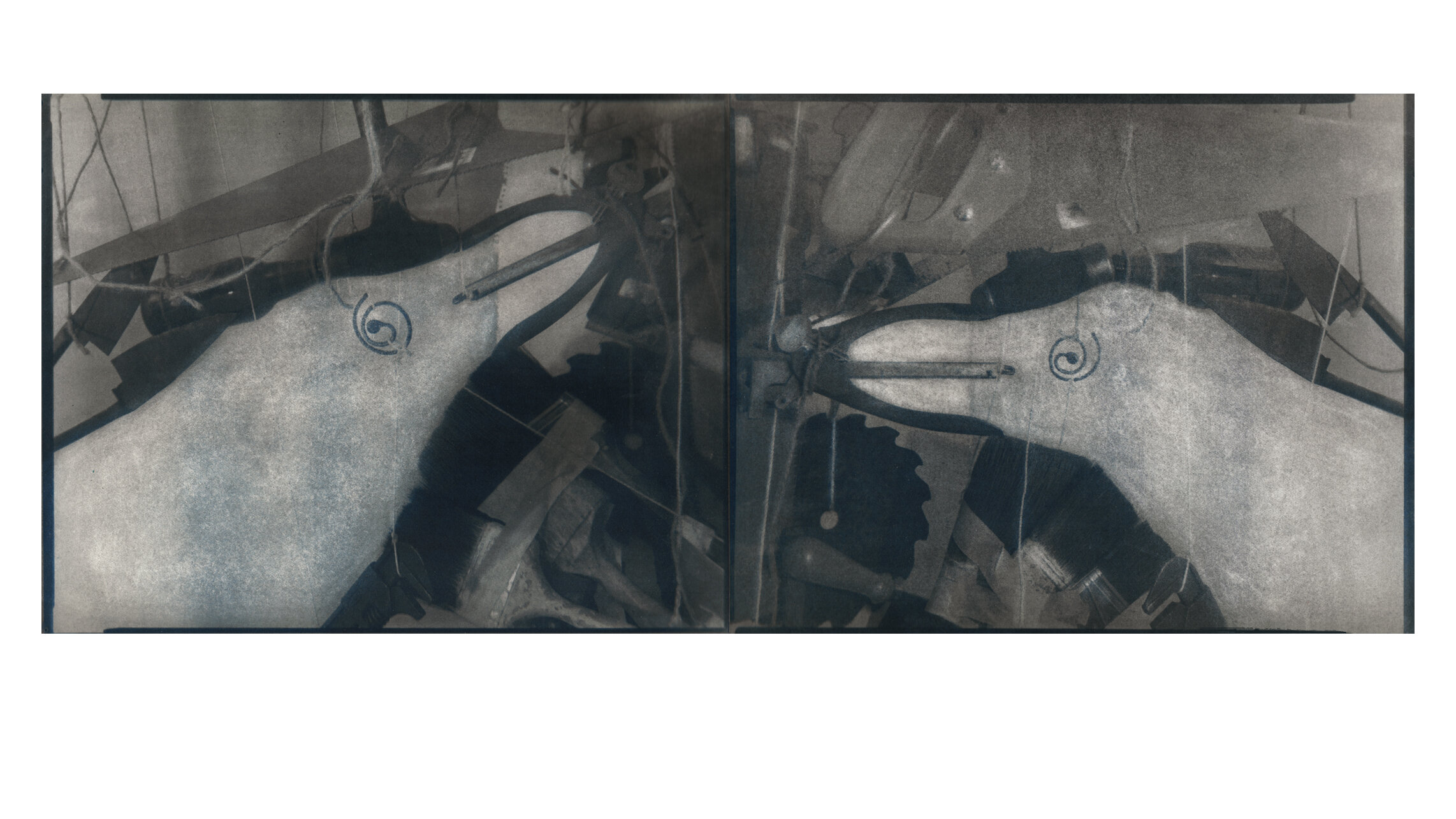 gulls at the dump.jpg