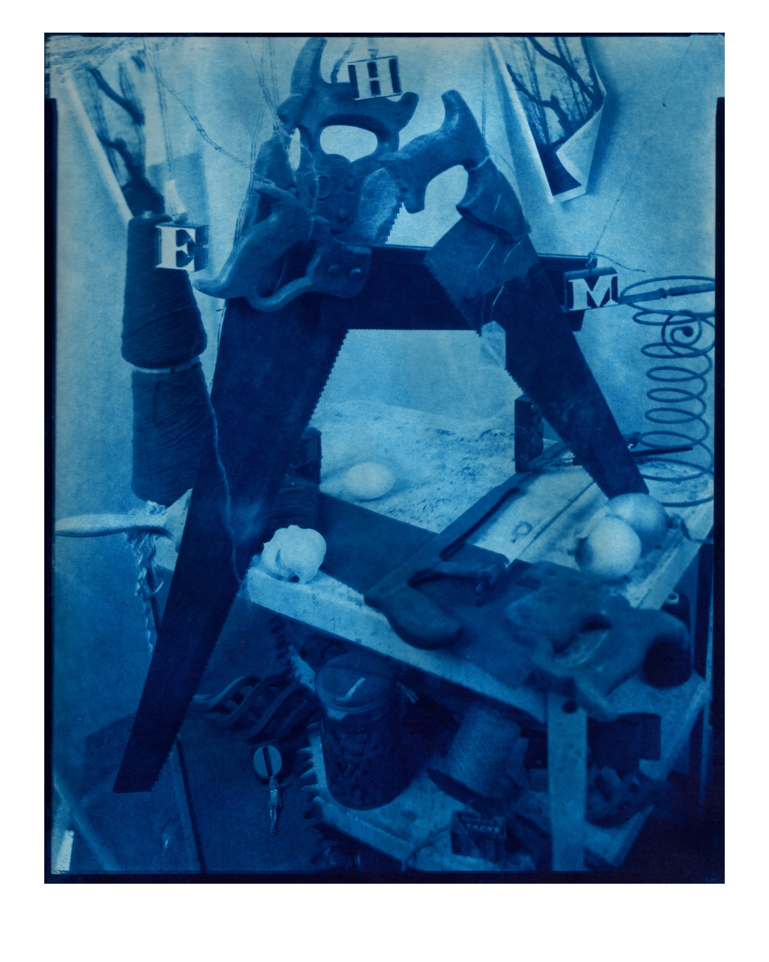 home cyanotype.jpg