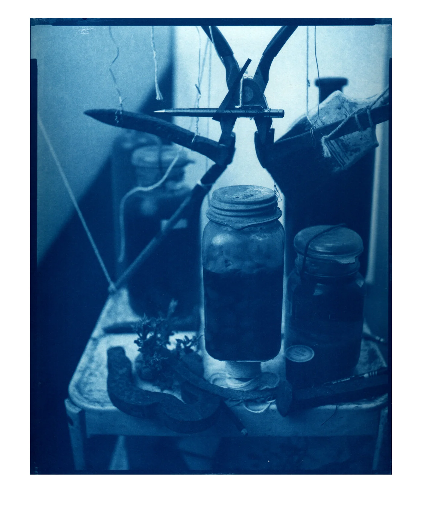 jar in bottle cyanotype.jpg