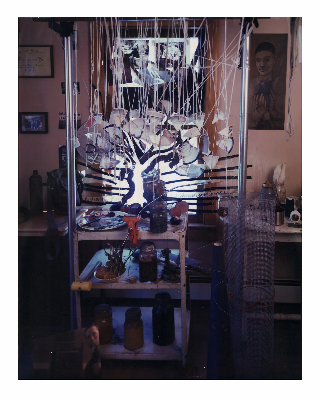 tree in pink studio.jpg