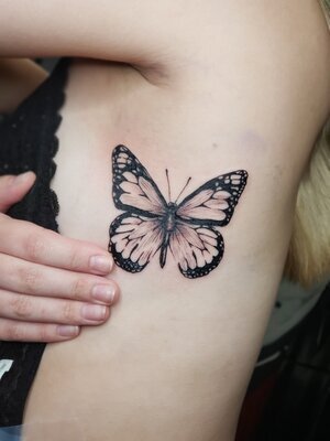 butterfly-side