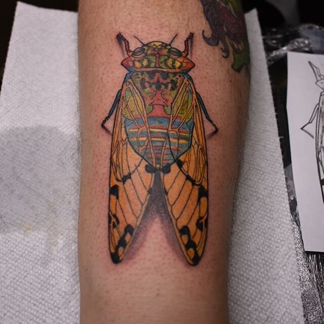 Cicada, a beautiful reminder of a beautiful childhood 🙃😊😎 www.deadfishink.com 
DM me or email me&nbsp; at andy@deadfishink.com with your tattoo idea and let's make it happen 💀🐟💀🐟💀🐟💀🐟😎😎😎 Art of War Tattoo Collective 
7214 Arlington Blvd,