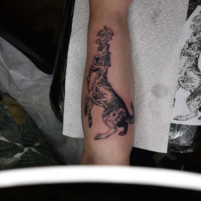 She likes wolf's and this one is just for her 😎😎😎 www.deadfishink.com 
DM me or email me&nbsp; at andy@deadfishink.com with your tattoo idea and let's make it happen 💀🐟💀🐟💀🐟💀🐟😎😎😎 Art of War Tattoo Collective 
7214 Arlington Blvd, Falls C