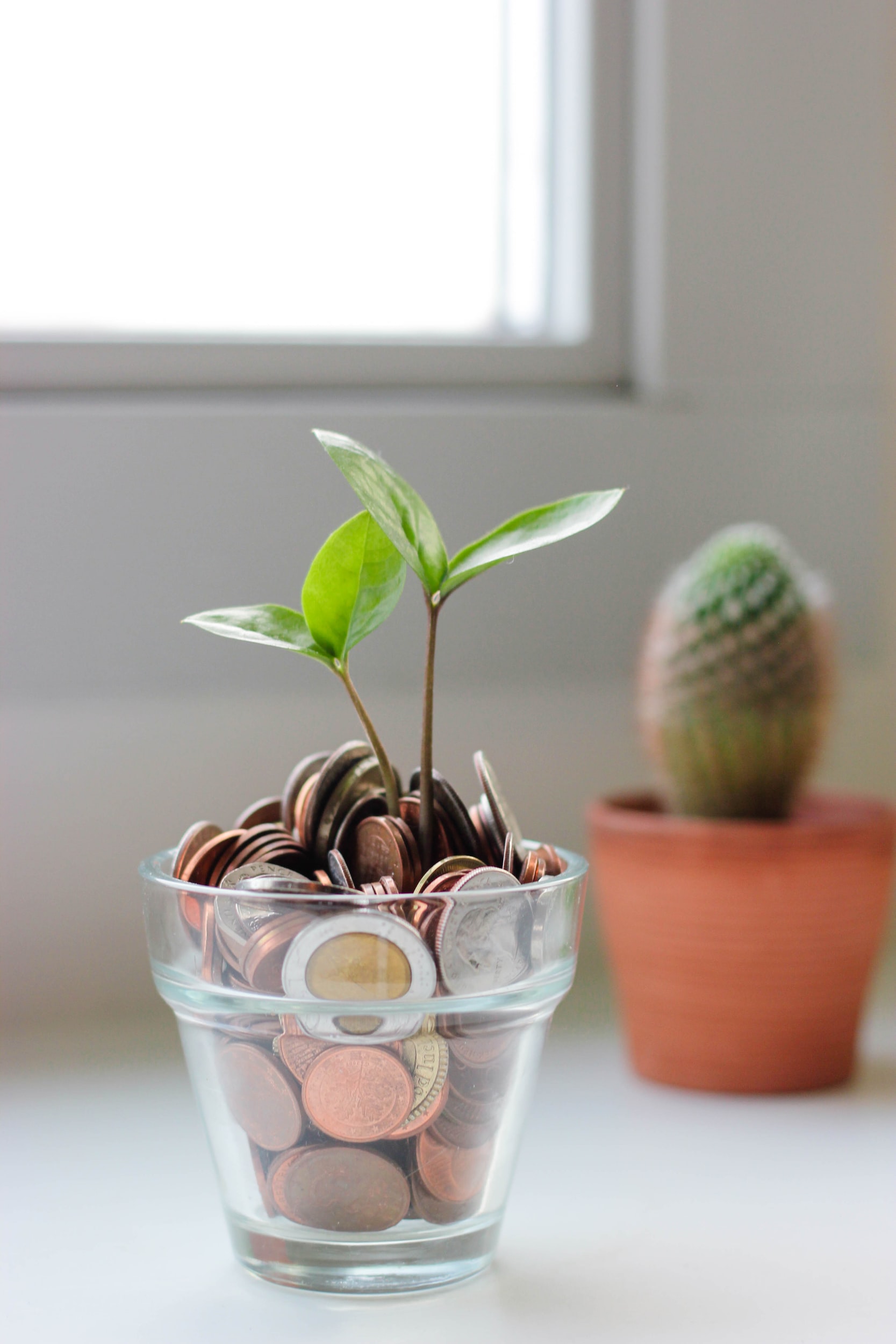 Money Trees