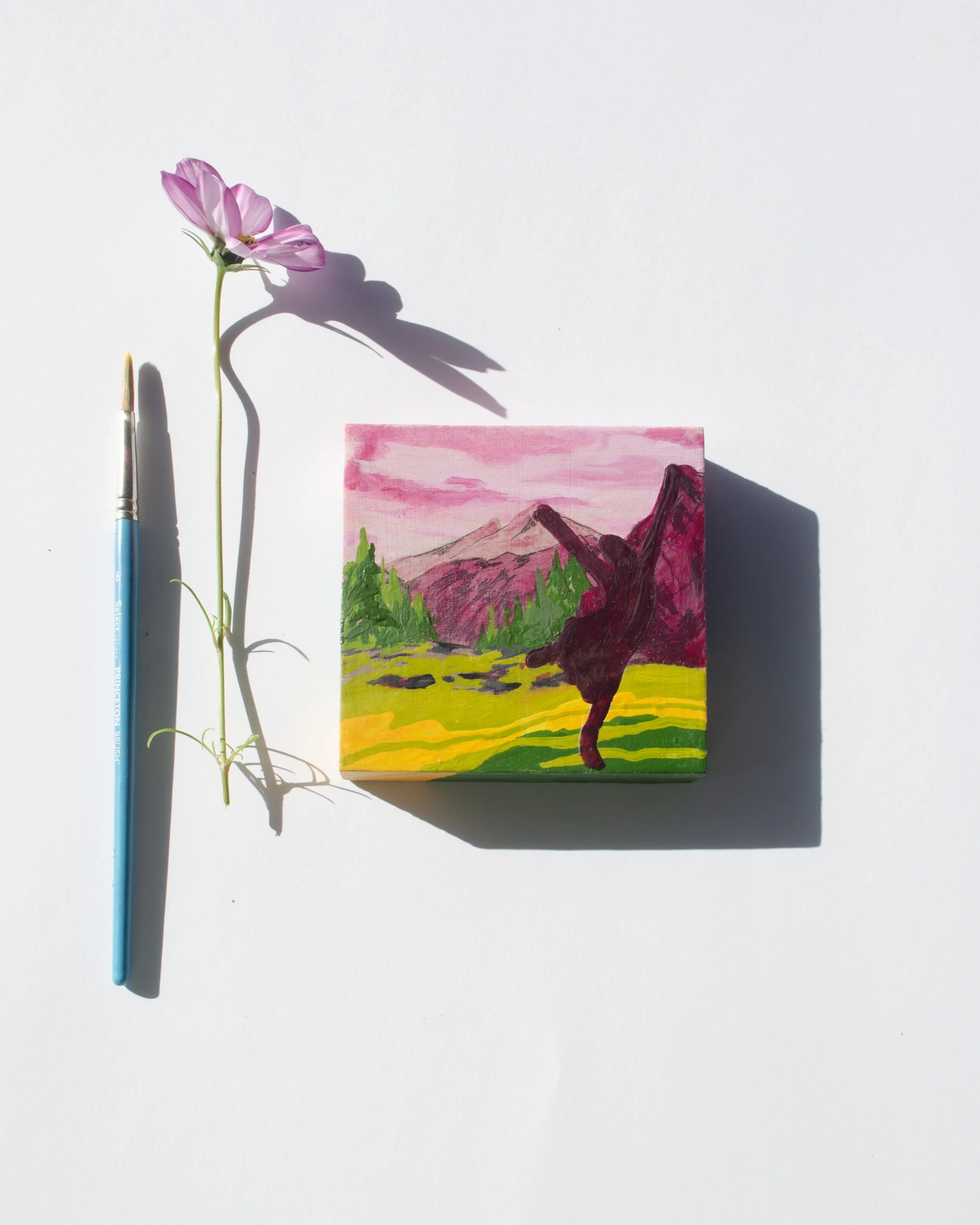 halcyon hello flatlay.jpg