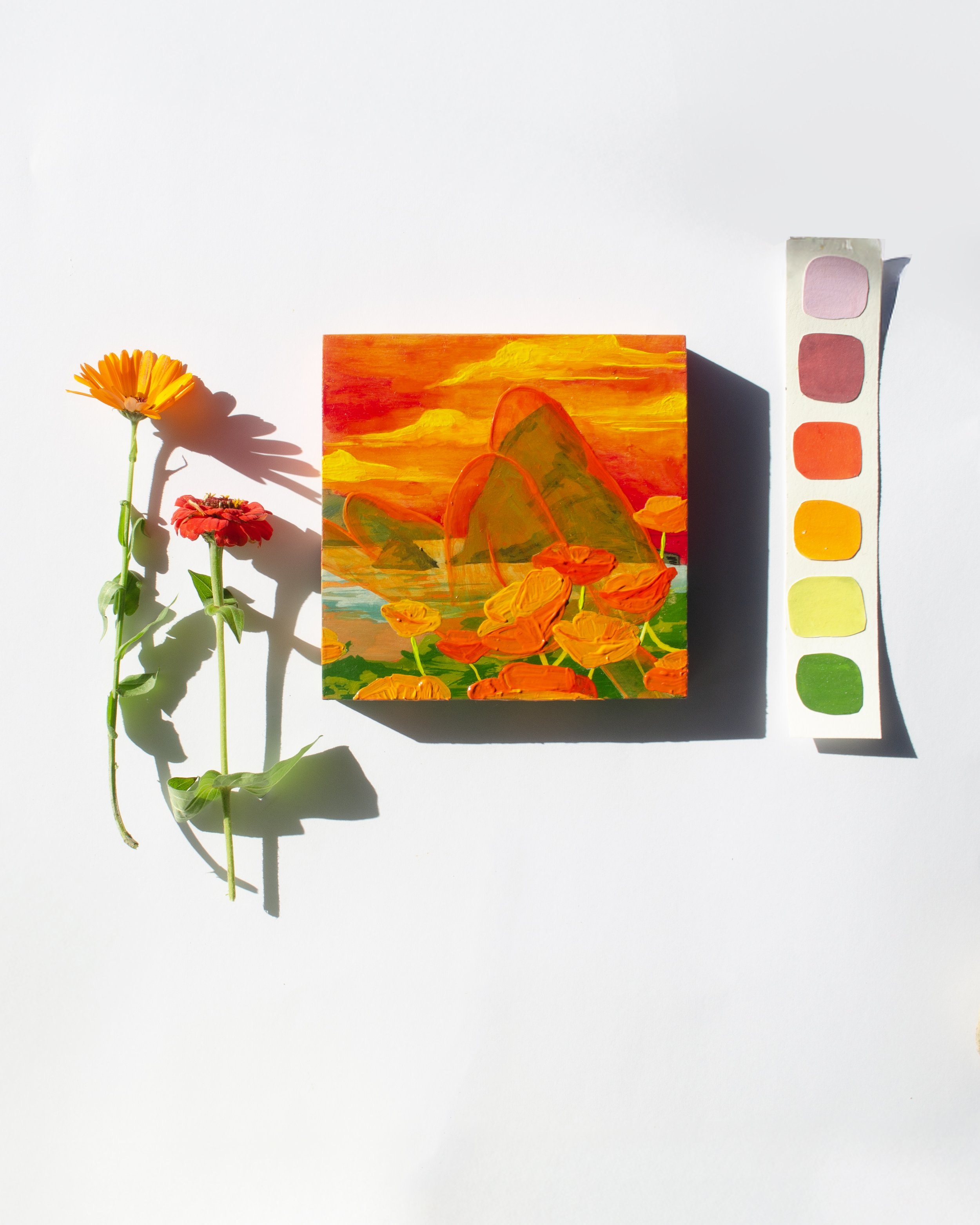 haystack poppies flatlay.jpg