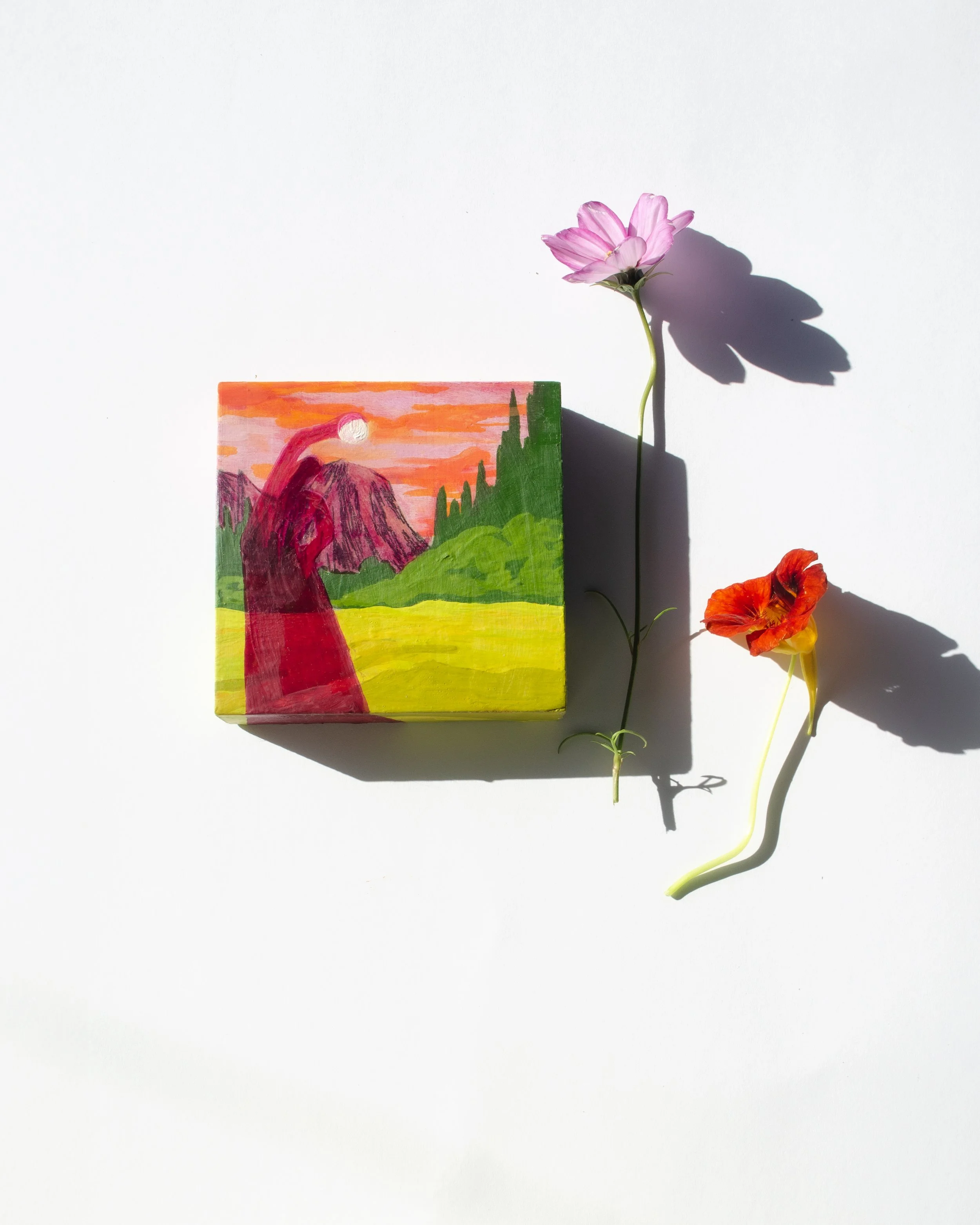 tamborine moon flatlay.jpg