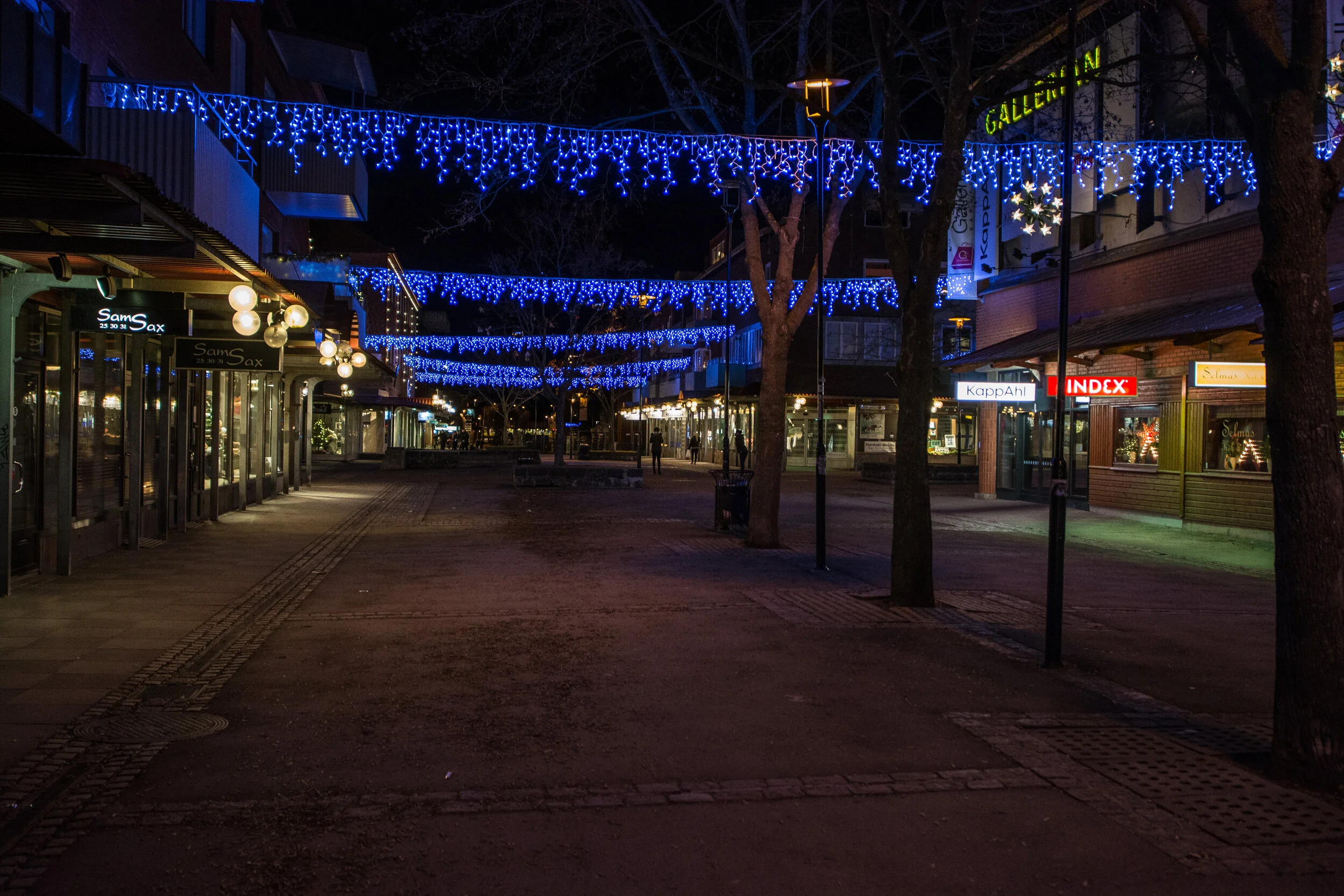 DSC_8073.jpg