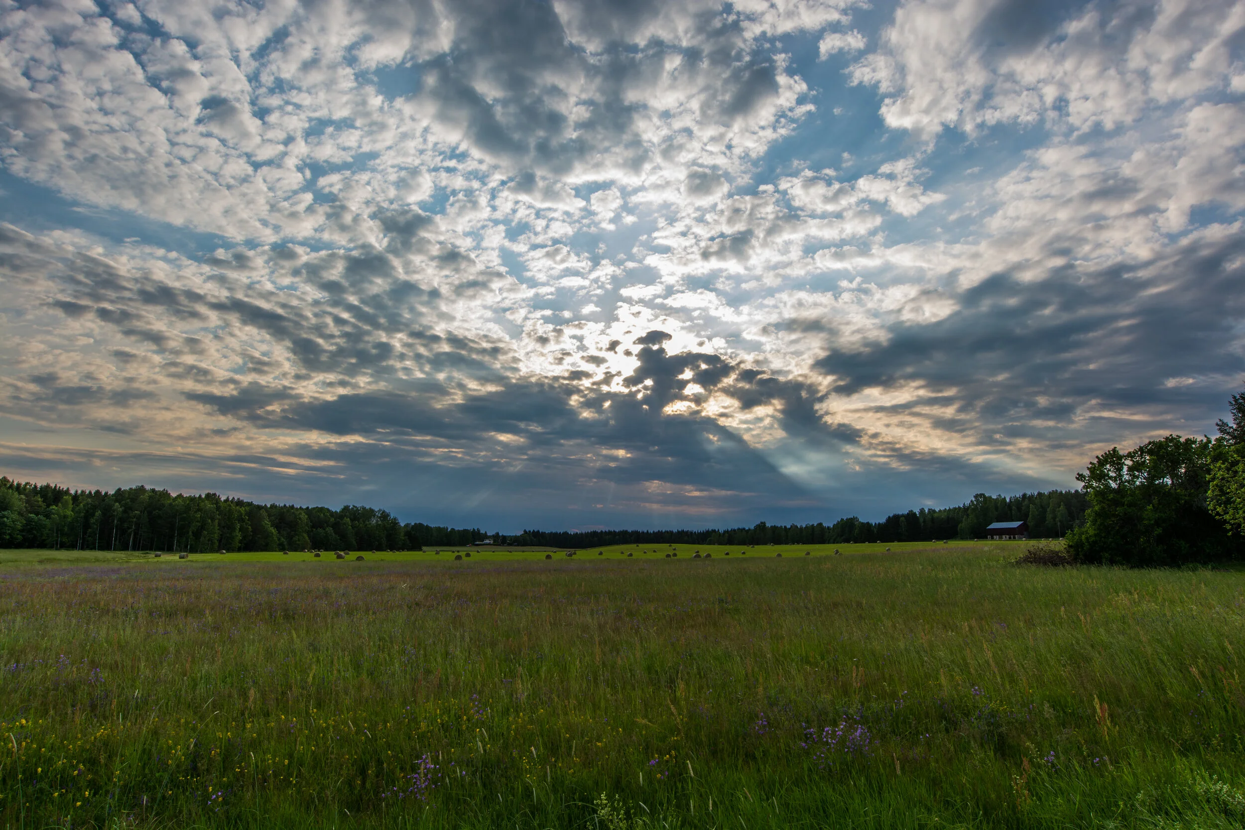 DSC_5485.jpg