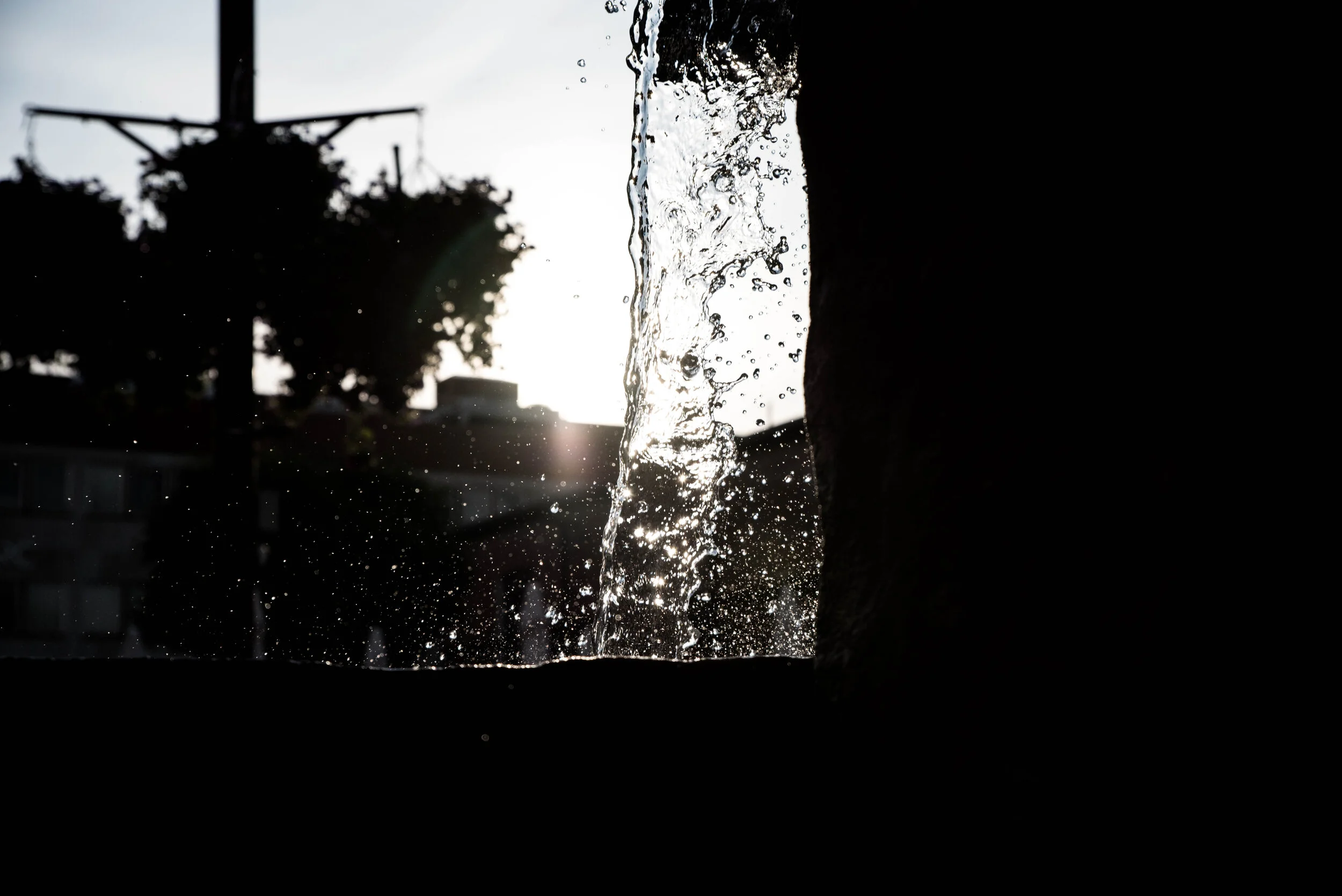 DSC_5459.jpg