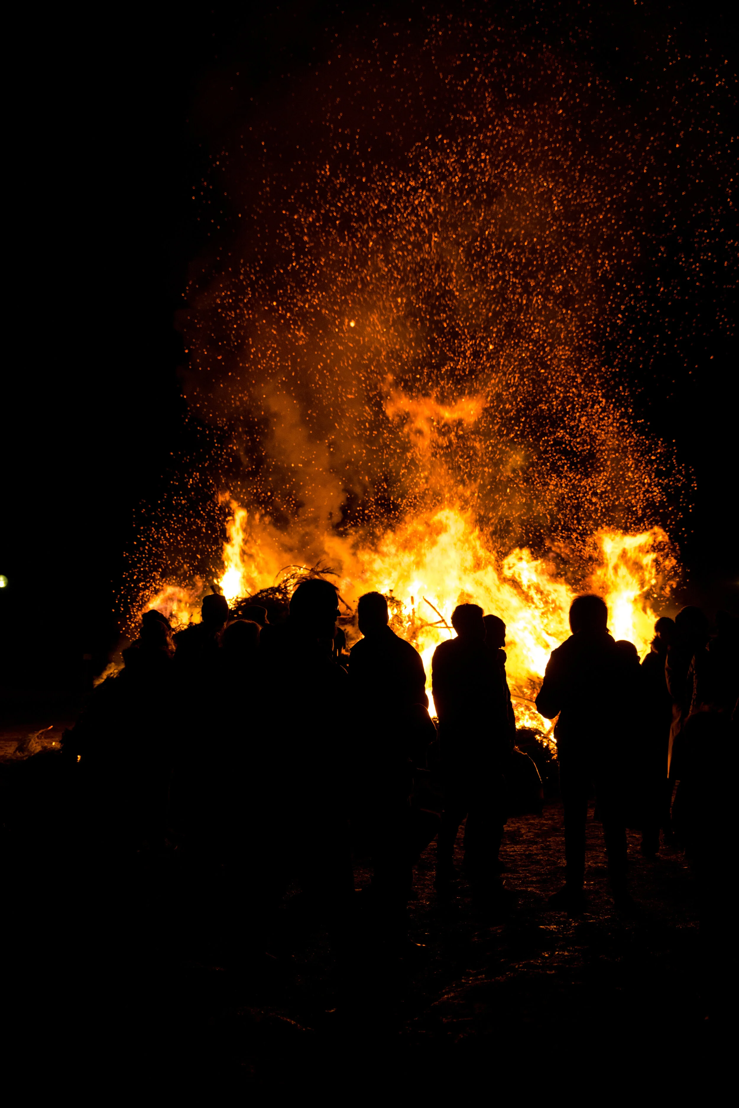 DSC_9578.jpg