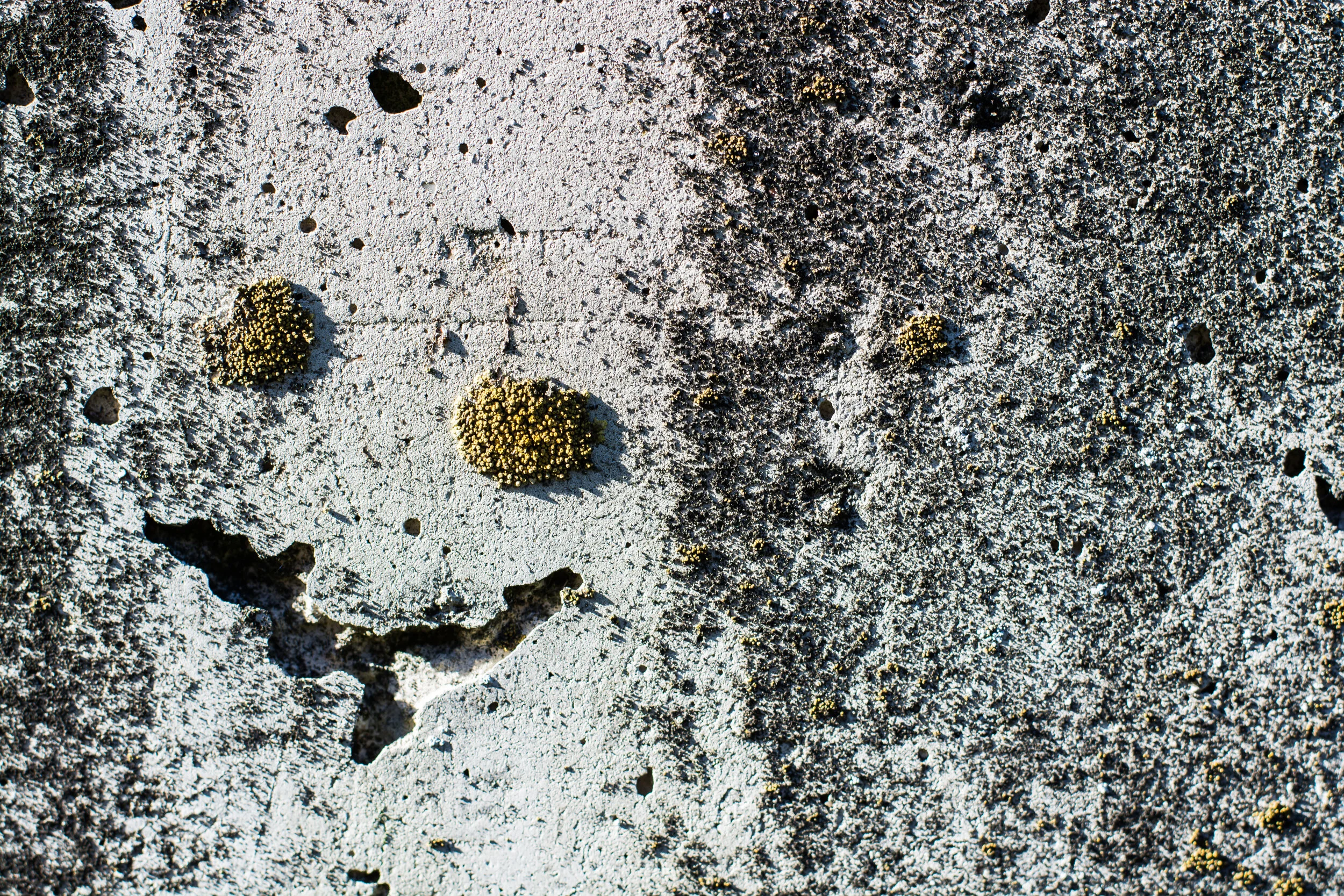 DSC_6748.jpg