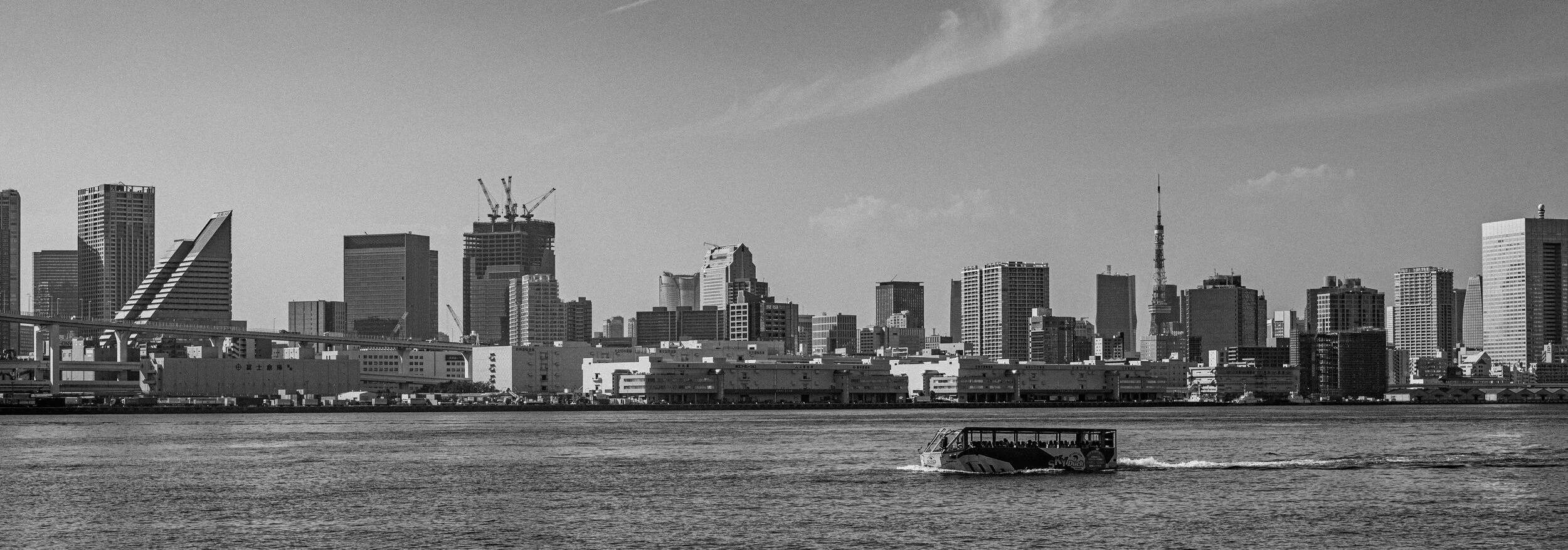DSC_1693.jpg