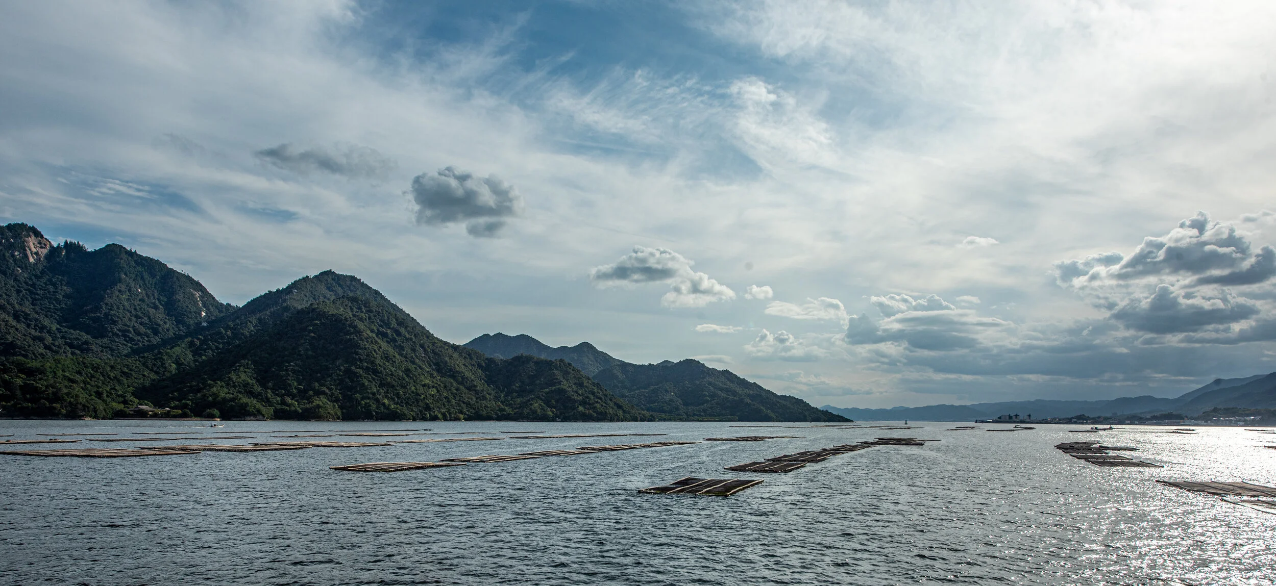 DSC_2768.jpg