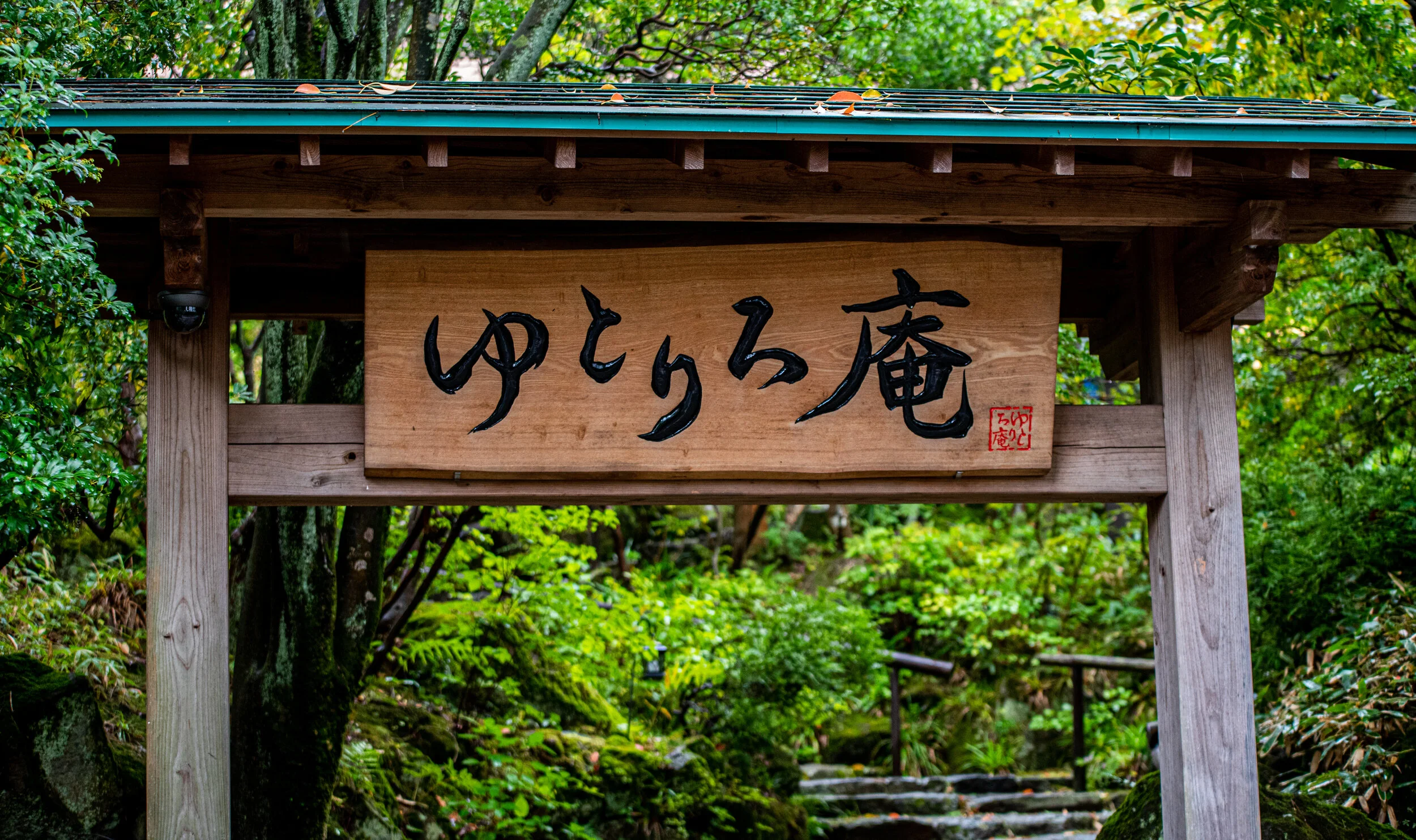 DSC_4100.jpg