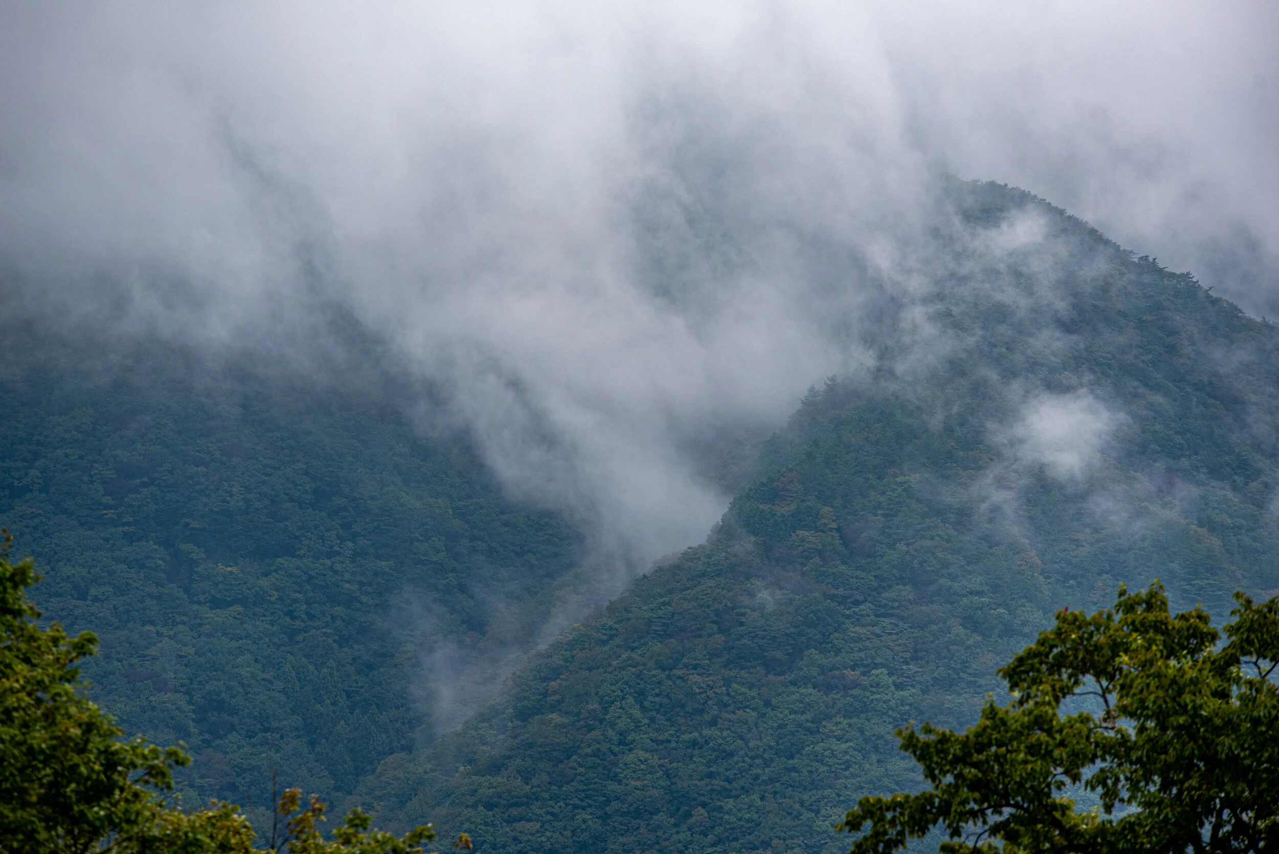 DSC_4107.jpg