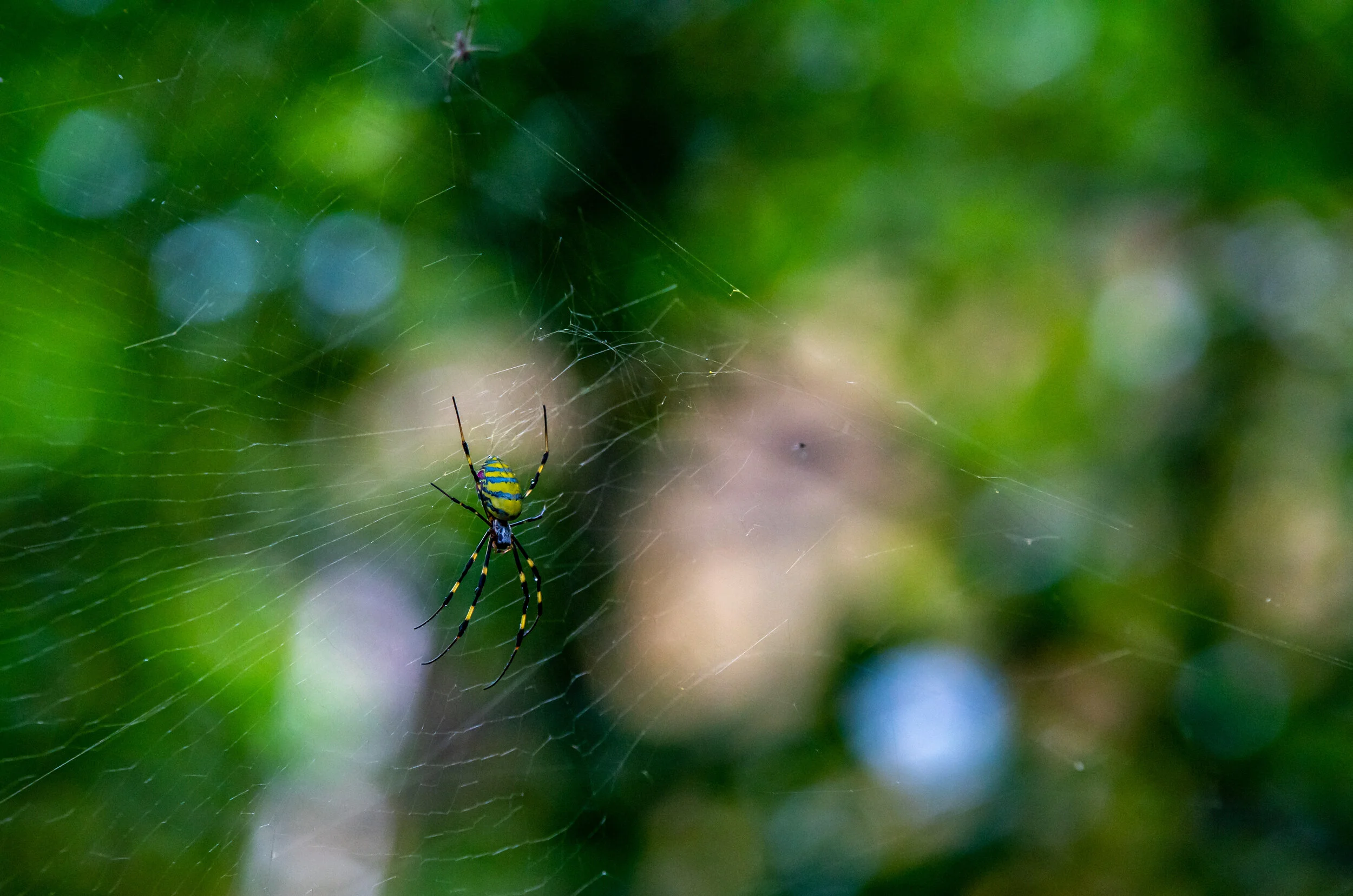 DSC_4134.jpg