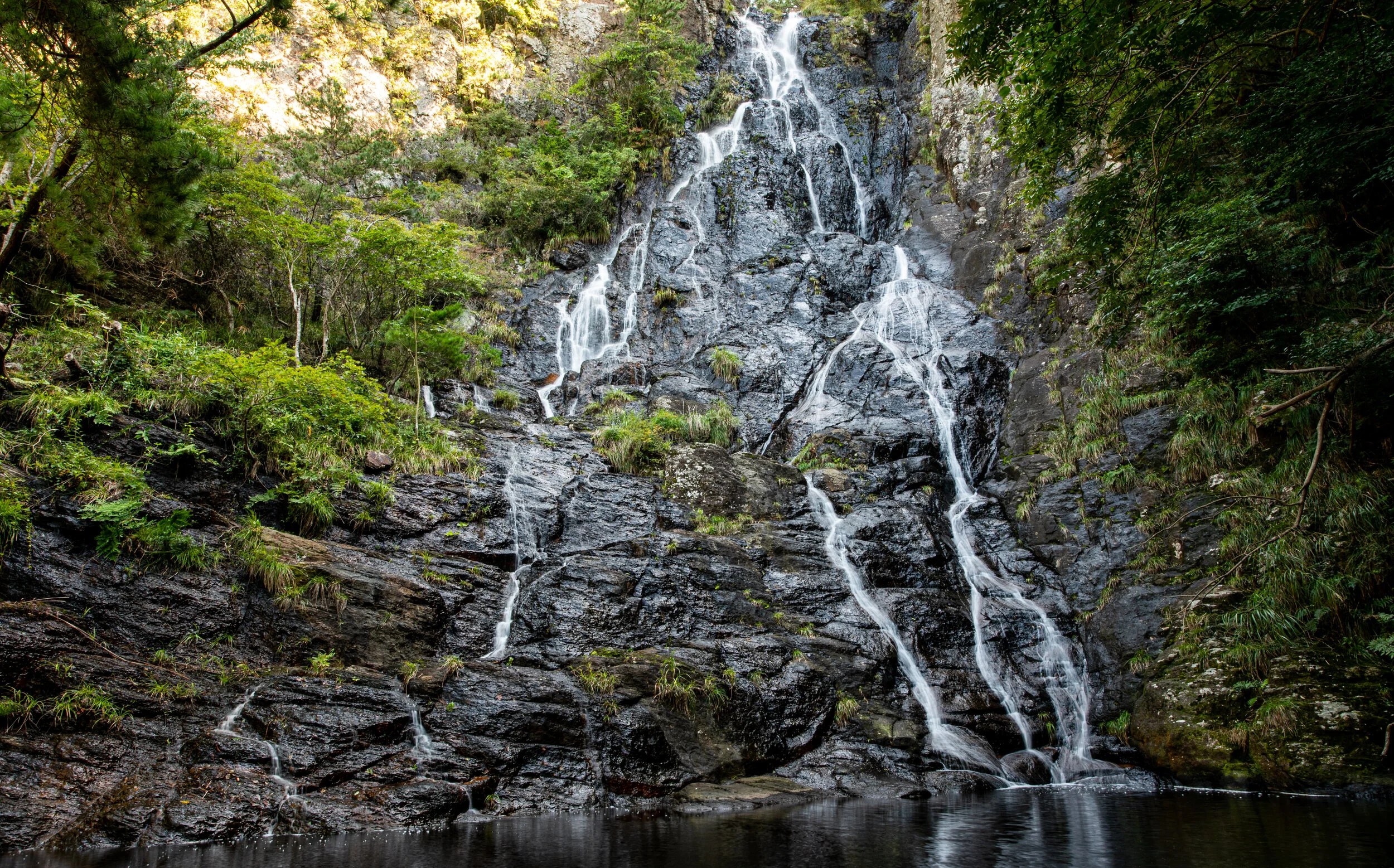 DSC_3421.jpg