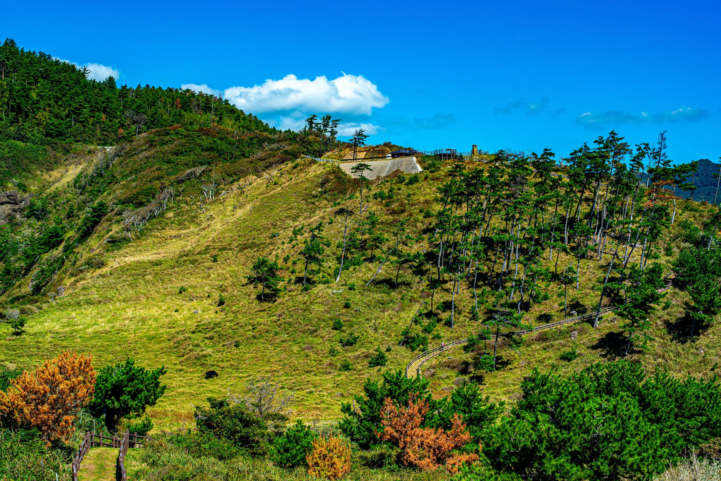 DSC_3499.jpg