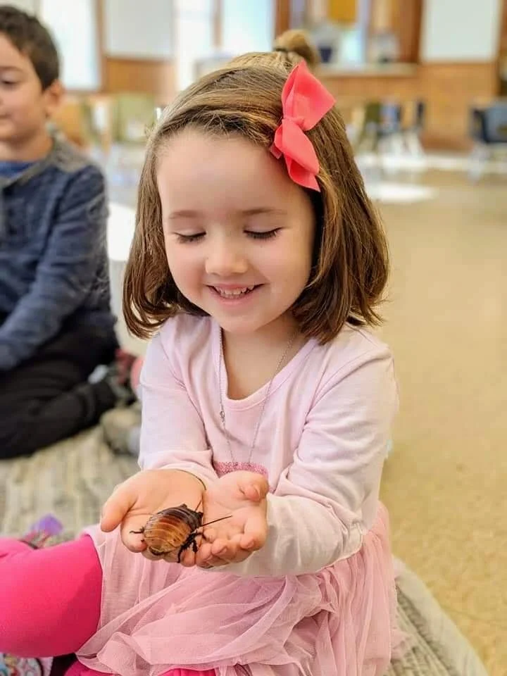 Programs Wild Tails Nc