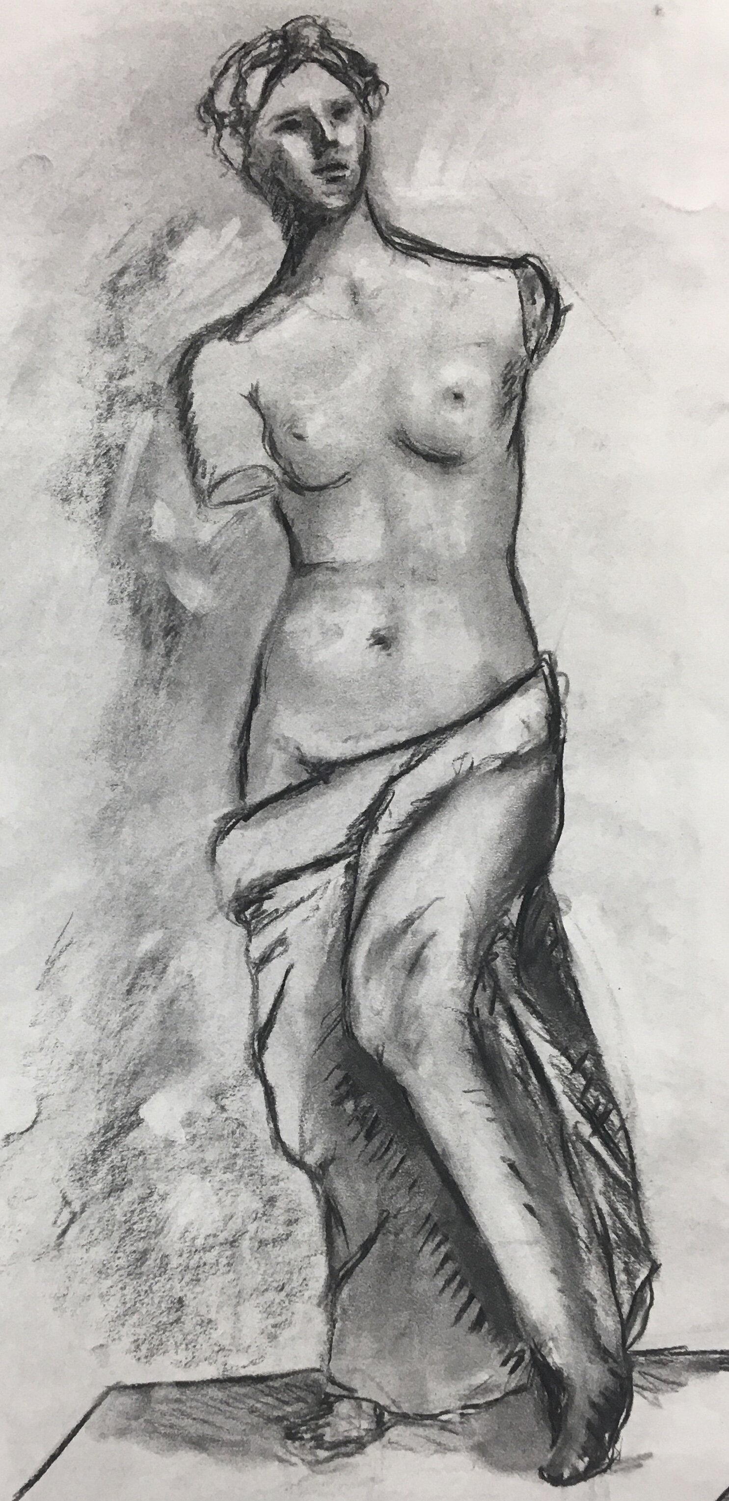 A Venus Still life.jpg