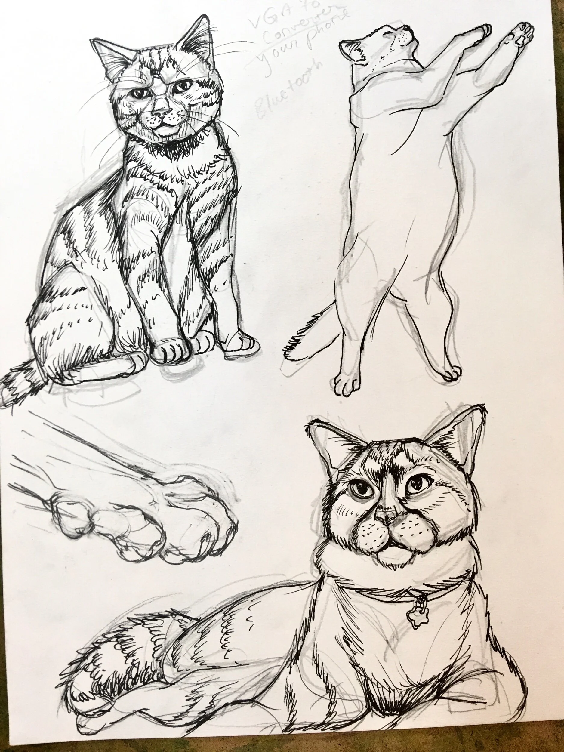 9F3092A2-E1F3-4853-8A3F-3B4837533CF6