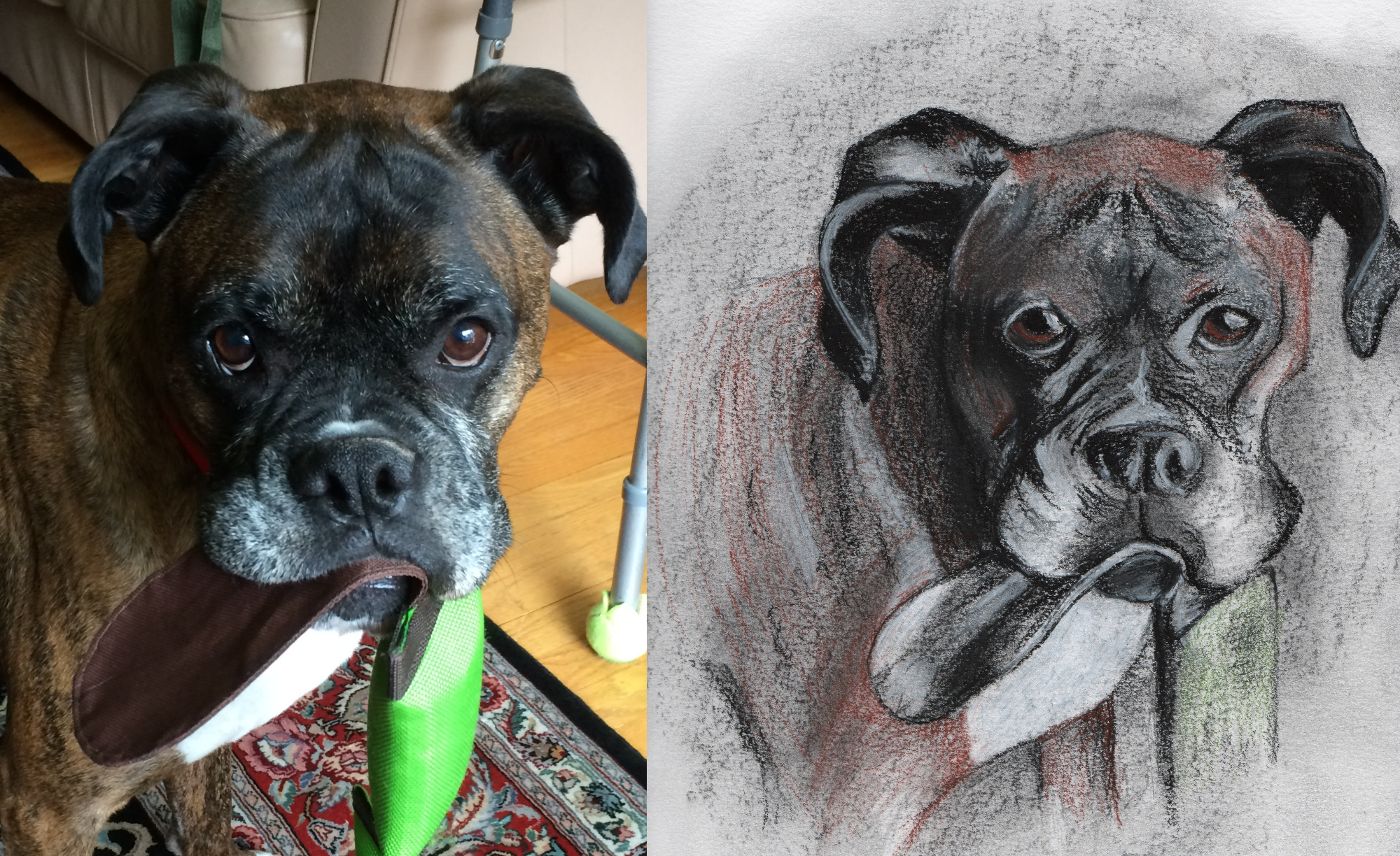 Rocky comparison.png