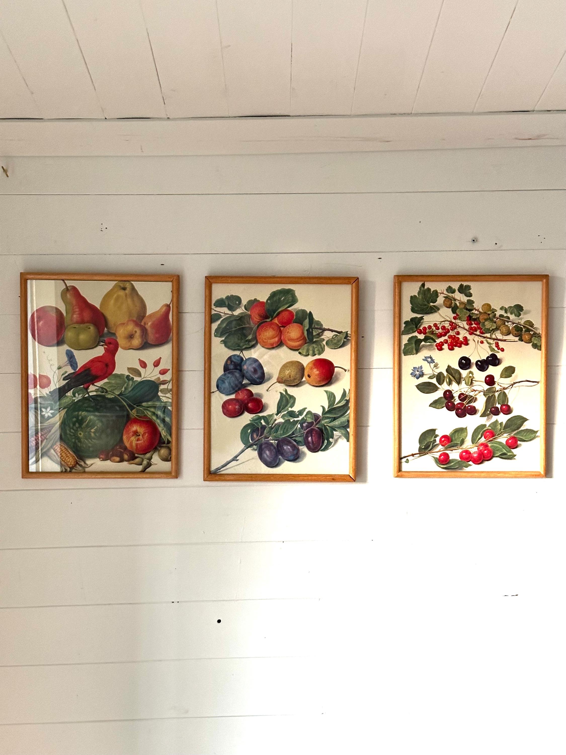 https://i.etsystatic.com/22731514/r/il/573ddd/6504104921/il_fullxfull.6504104921_6p81.jpg