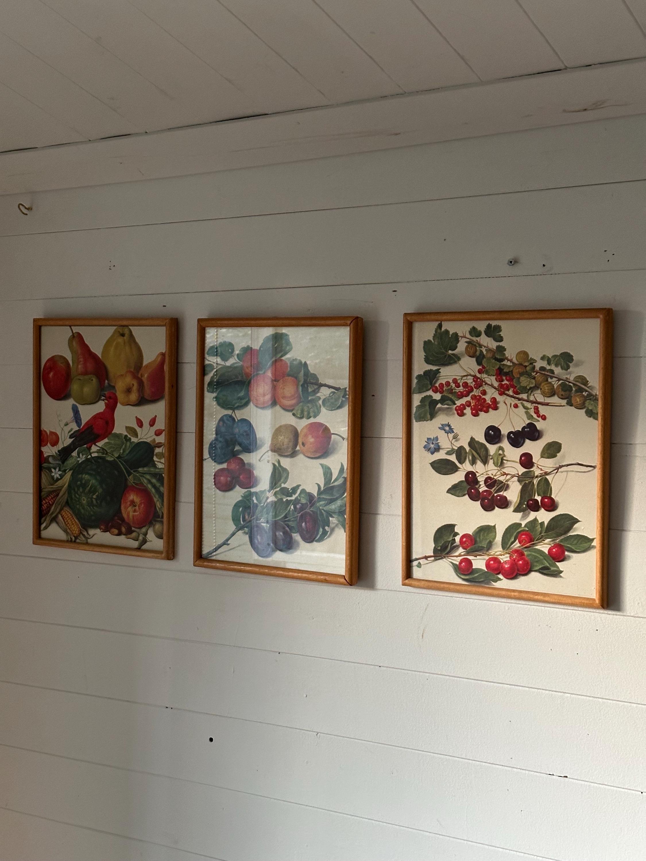 https://i.etsystatic.com/22731514/r/il/28508a/6499661851/il_fullxfull.6499661851_qhsq.jpg