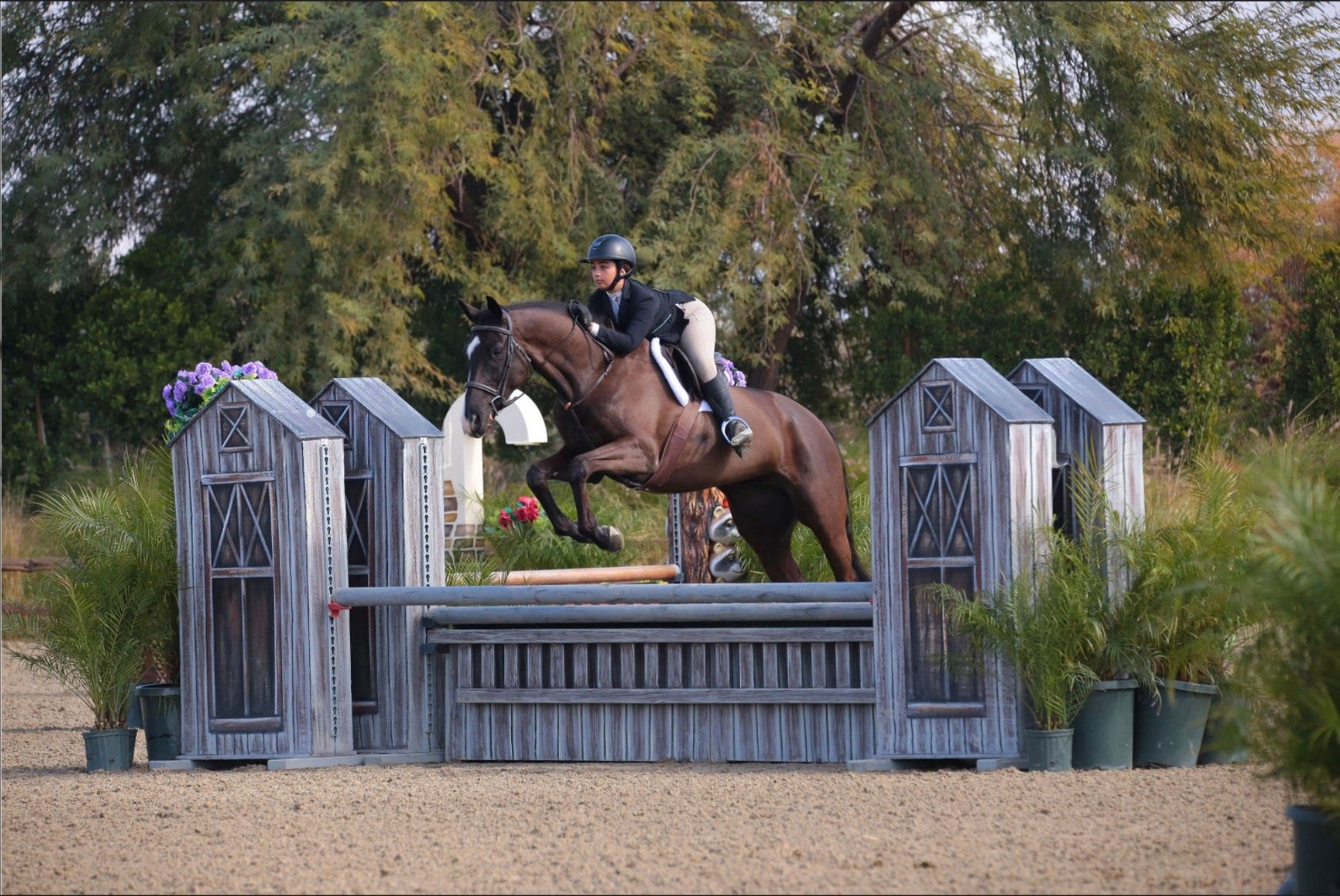 Screen Shot 2024-01-22 at 12.53.25 PM.JPG