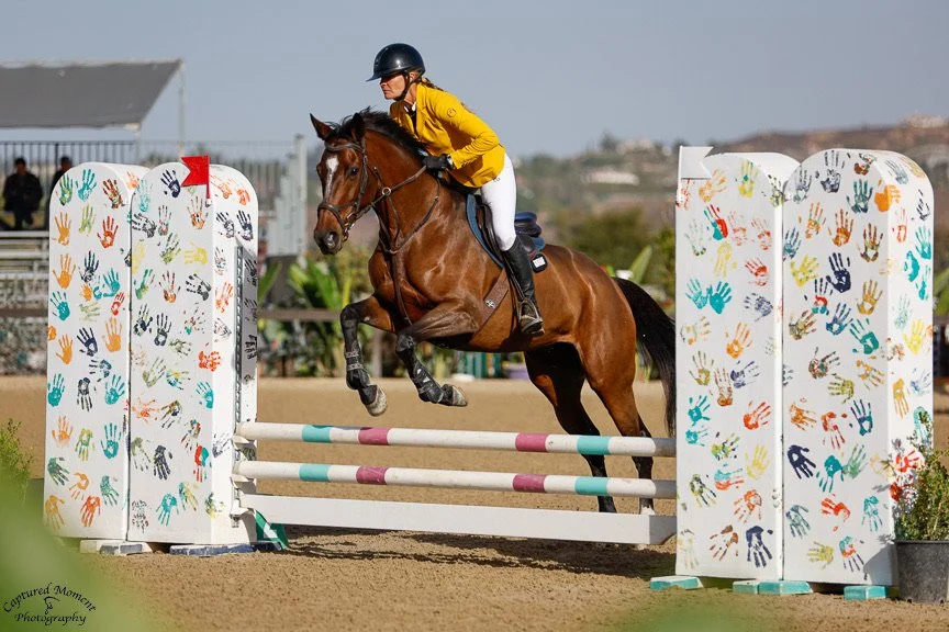 Chattine_(1372)_20241018_0087 2.JPG