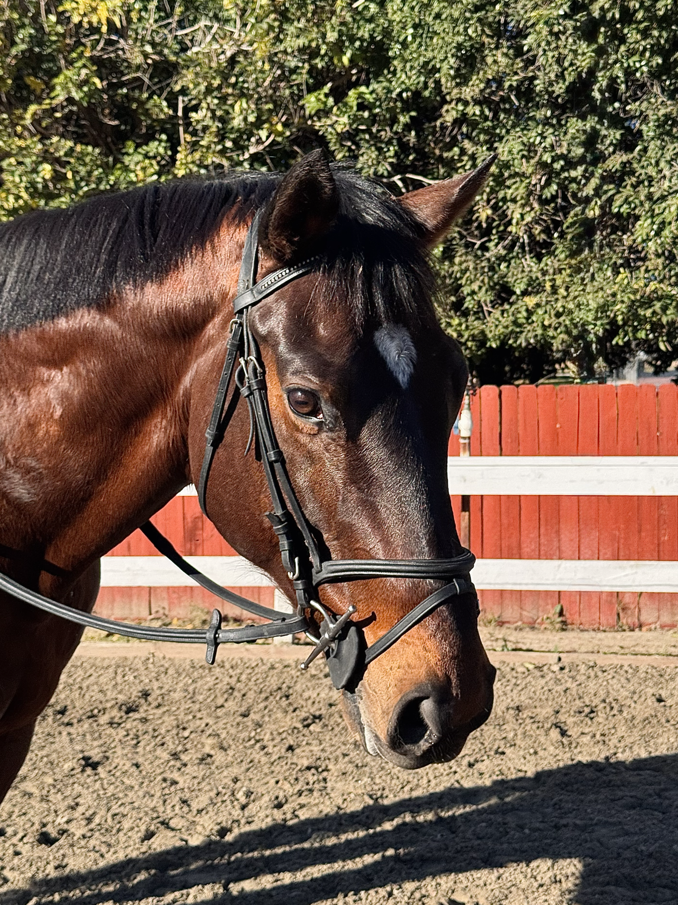 Screenshot 2026-01-05 at 12.36.02 PM.png