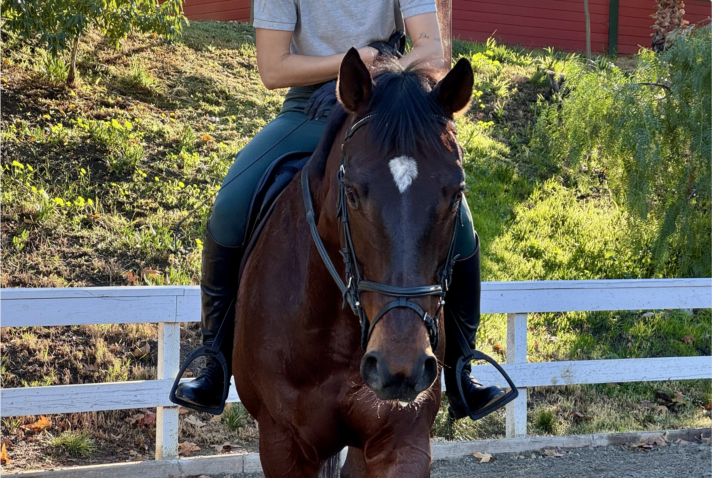 Screenshot 2026-01-05 at 12.36.22 PM.png