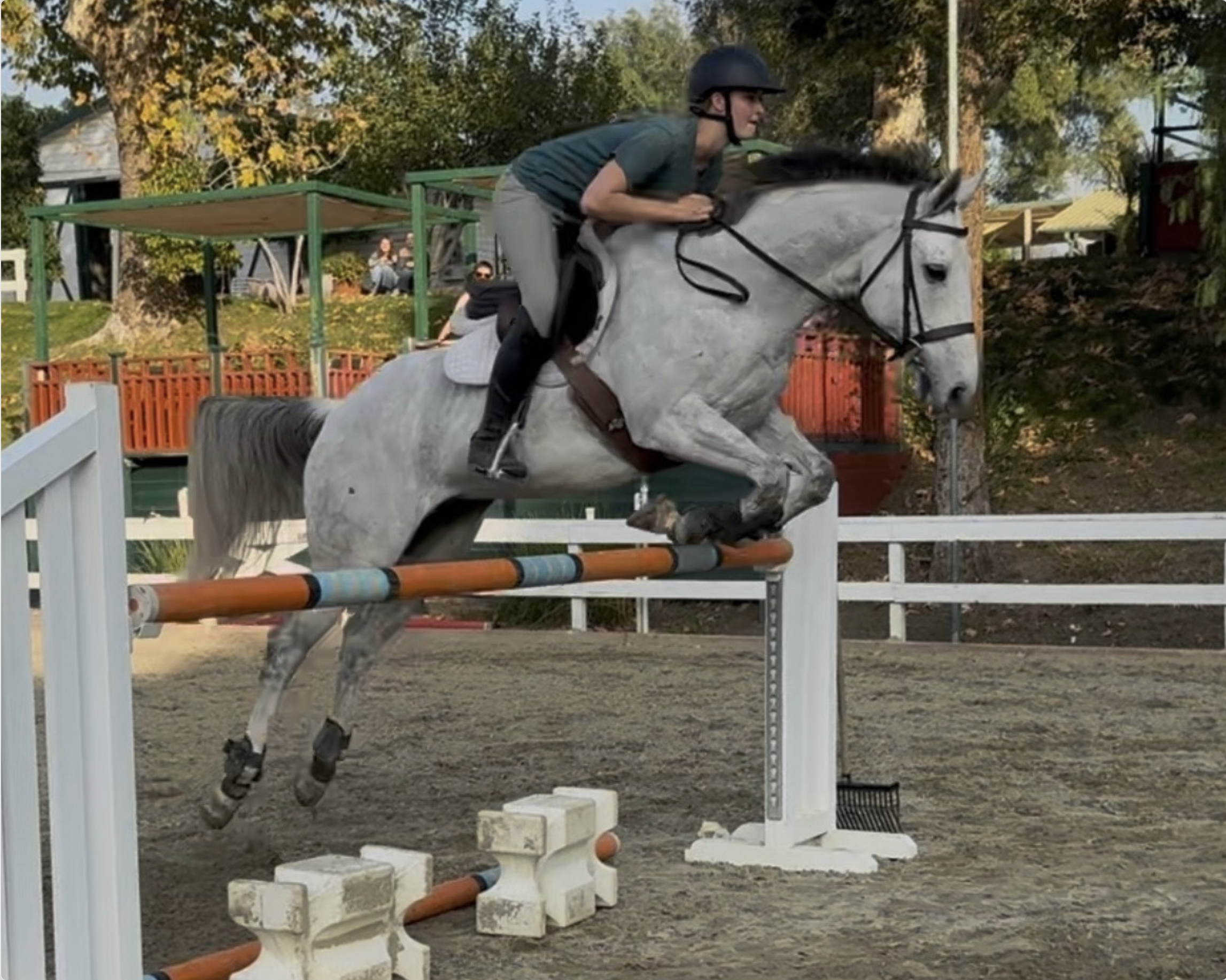 Screenshot 2026-01-05 at 1.01.18 PM.png