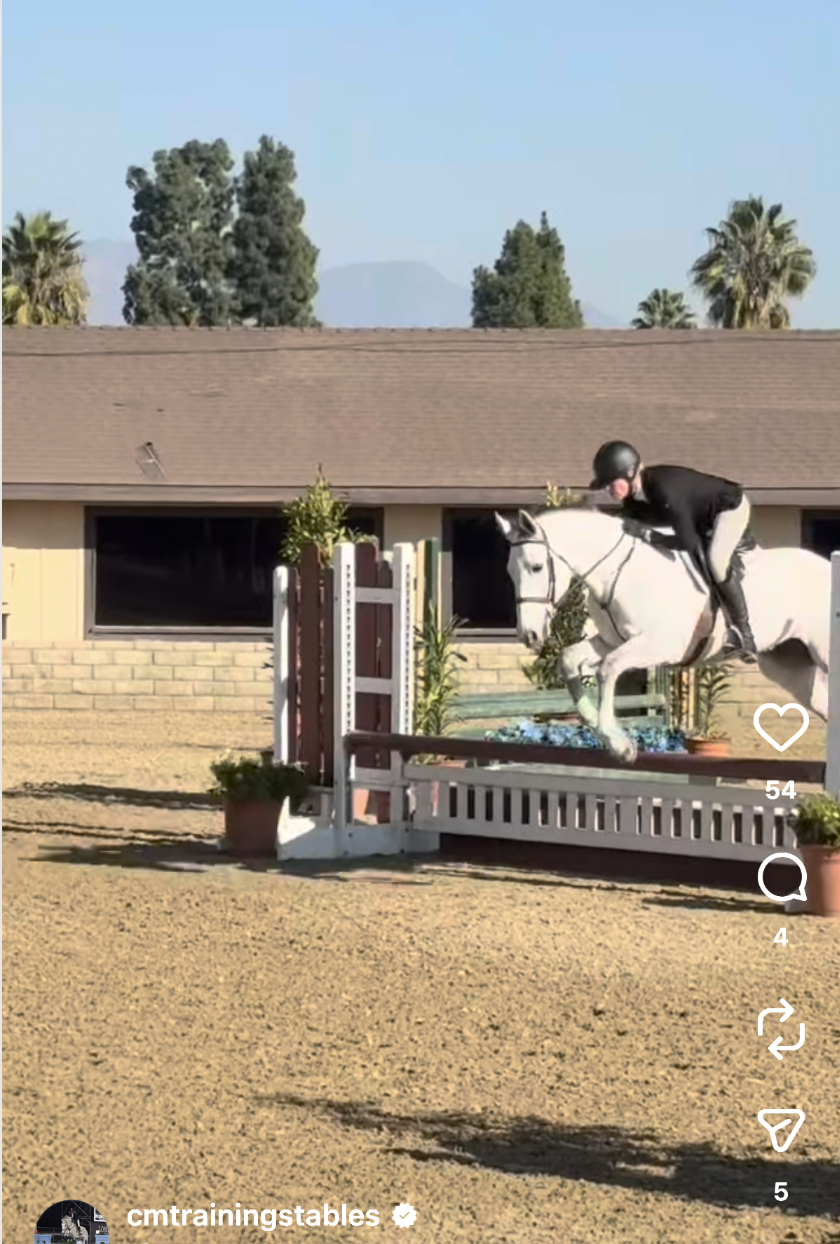 Screenshot 2026-01-05 at 1.02.28 PM.png