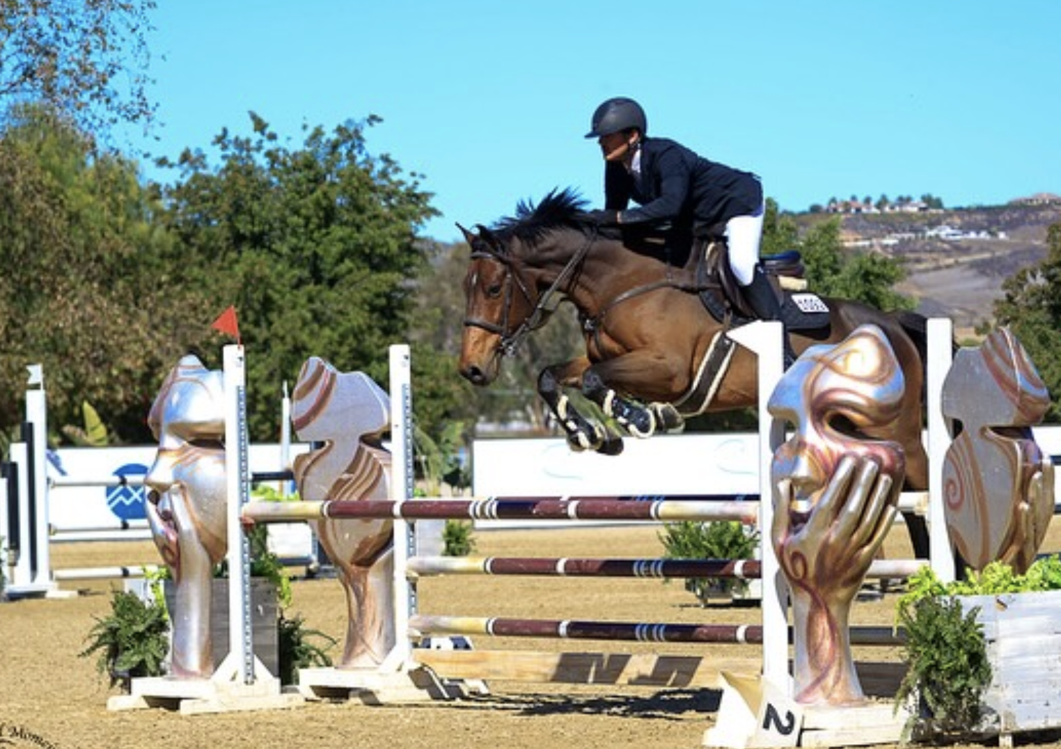 Screenshot 2026-01-05 at 2.06.18 PM.png