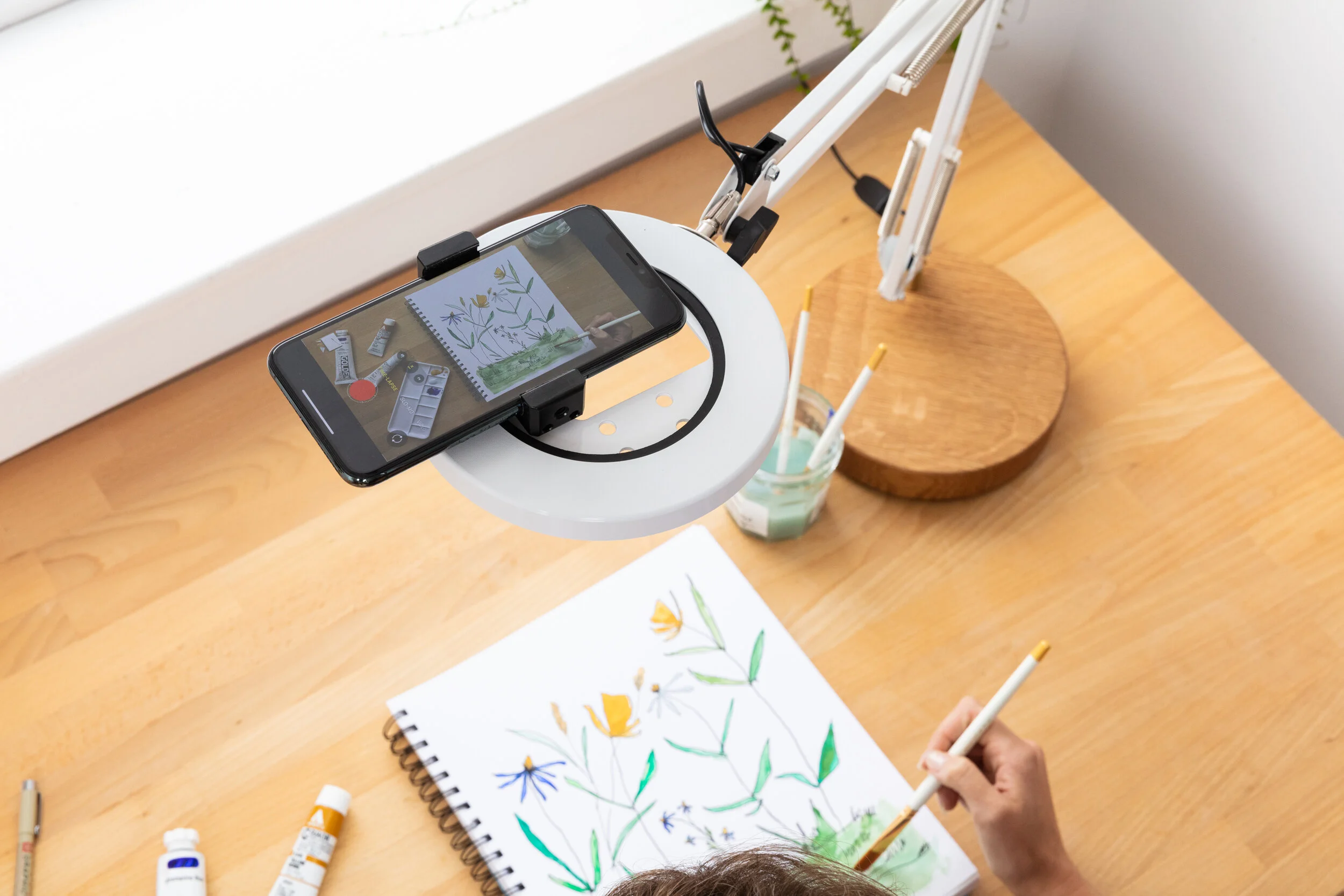 Canvas Stills-11.jpg