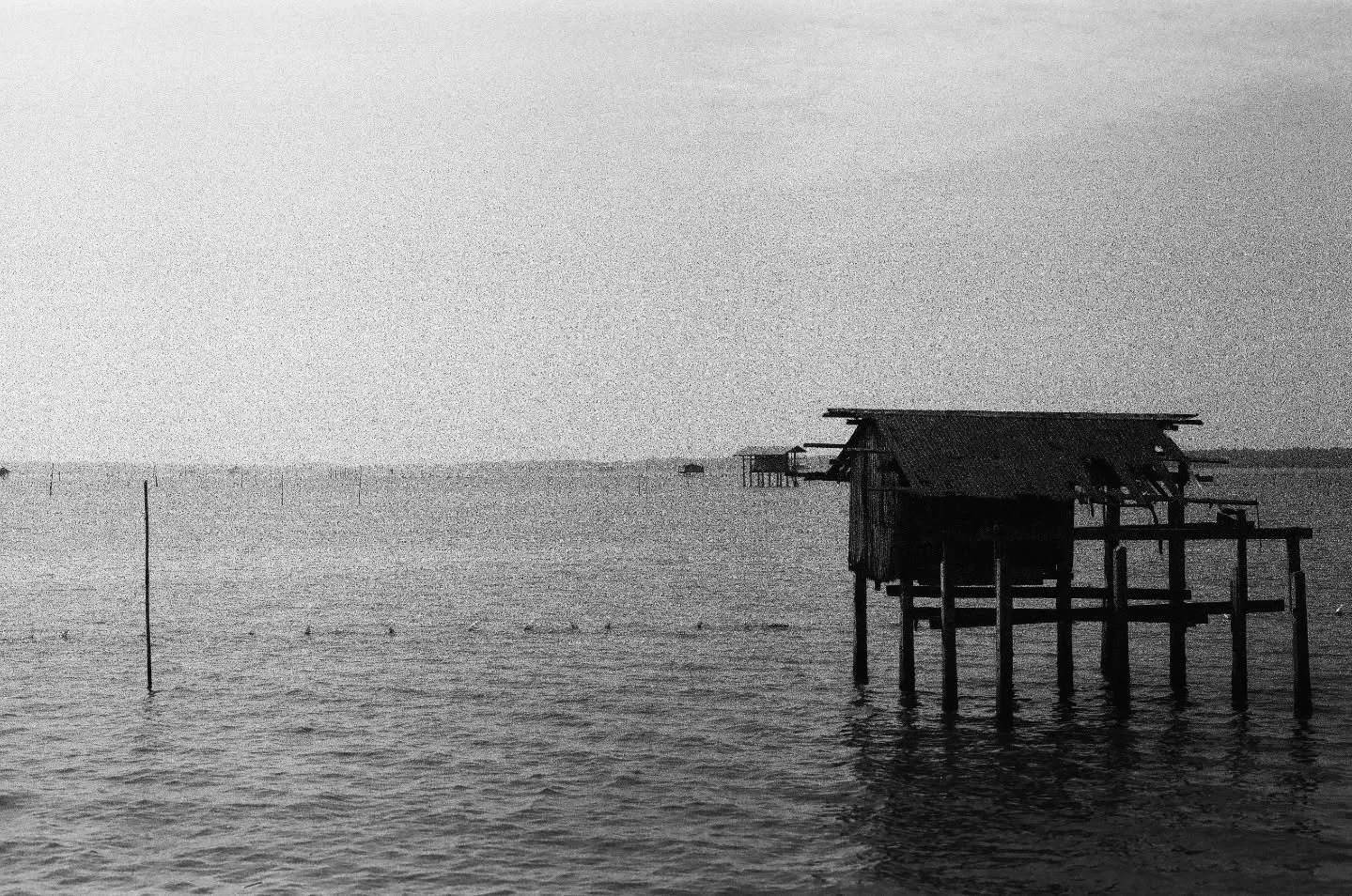 หาหอยนางรม
Photographer: #TULIKAKim #TULIKAwfilm 
#ultraplus400