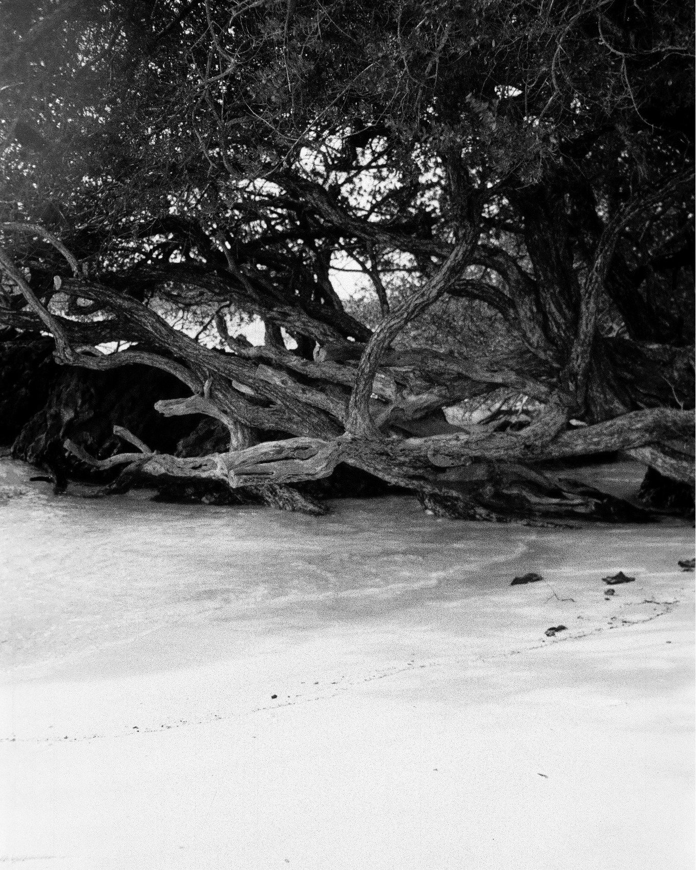 KohKAM on film 
#AristaEDUUltra200
Photographer: #TULIKAKim #TULIKAwfilm 
Dev: @whatthefilmlab 
#tulikatravels